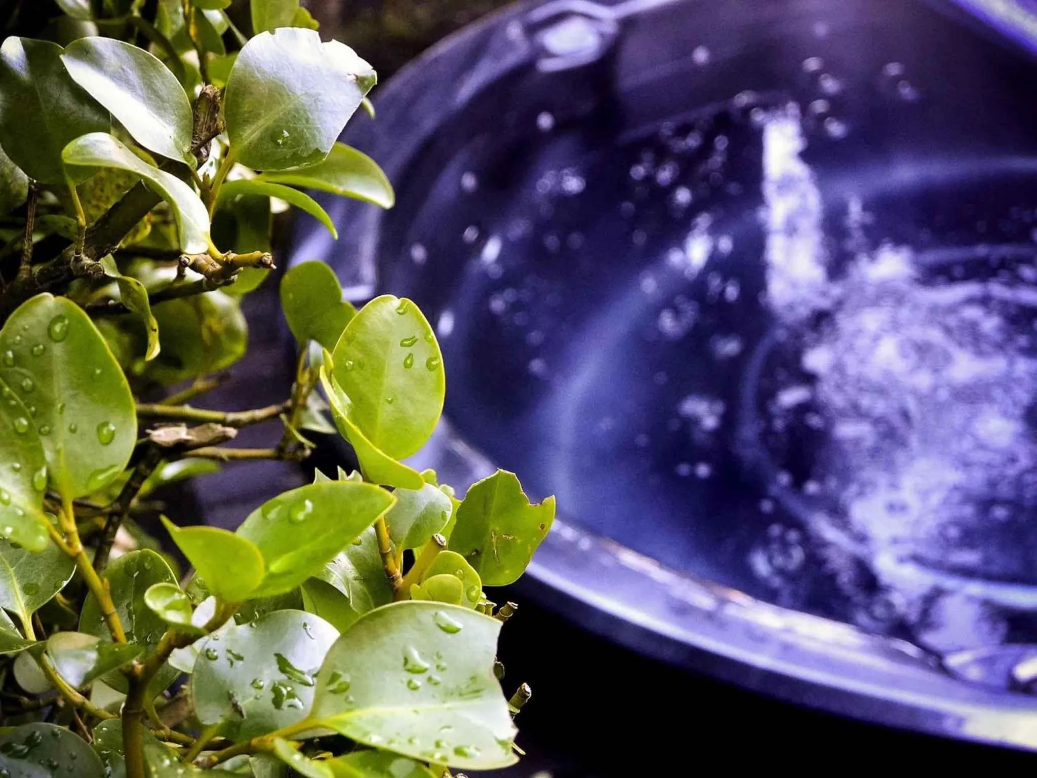 Other in Hotel St Moritz, Queenstown - MGallery Collection