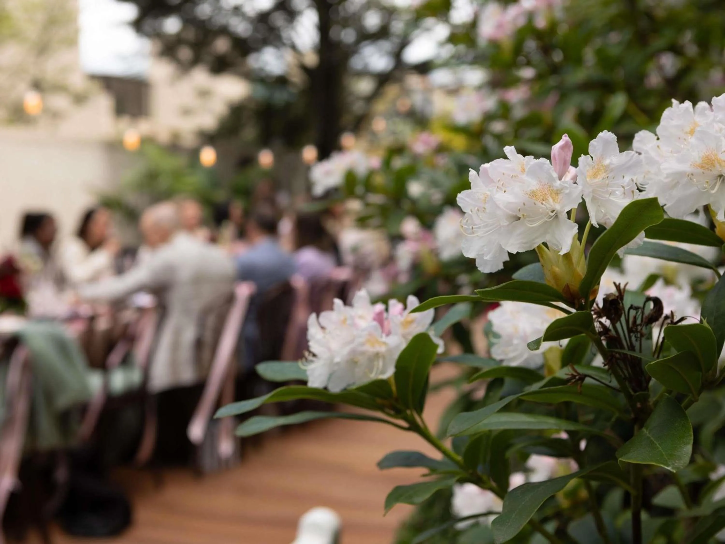 wedding in Hotel St Moritz, Queenstown - MGallery Collection