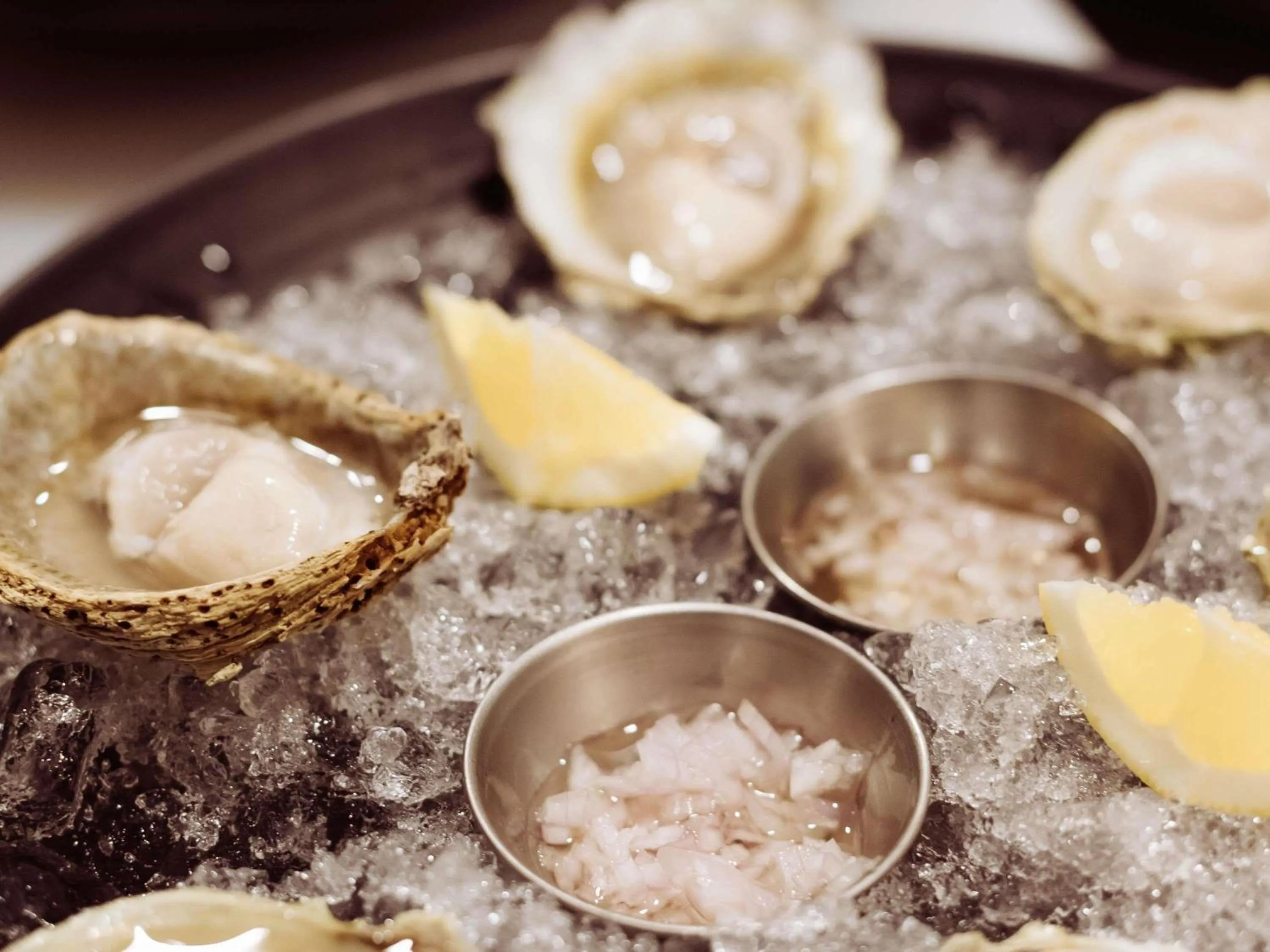 Lounge or bar in Hotel St Moritz, Queenstown - MGallery Collection