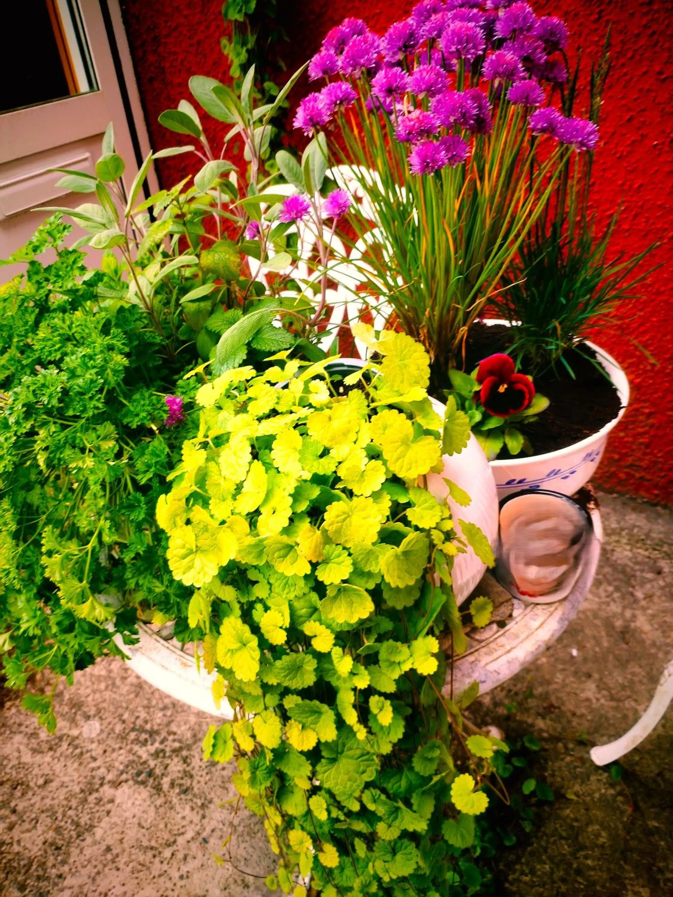 Day in Selfoss Hostel