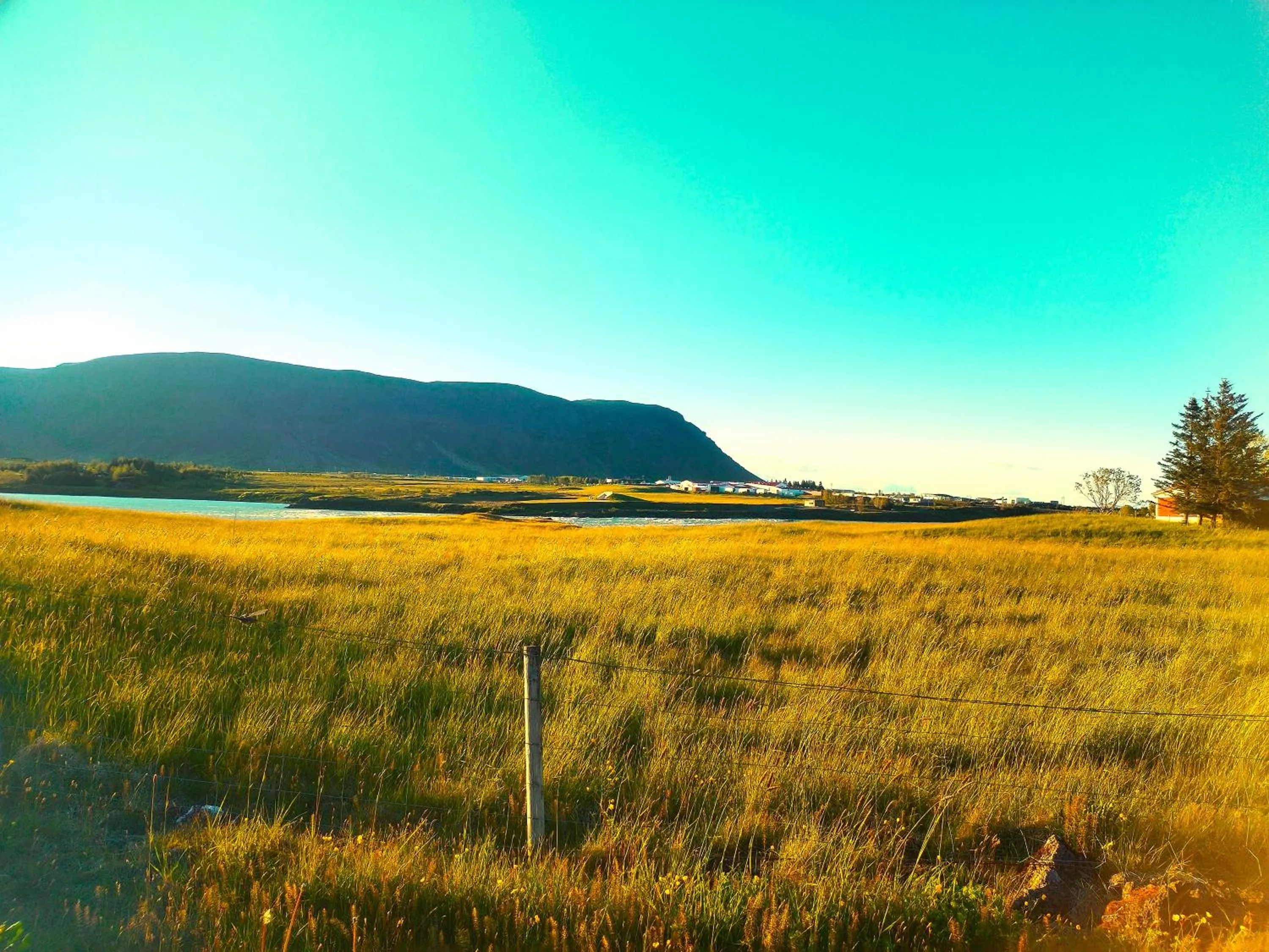 Nearby landmark in Selfoss Hostel