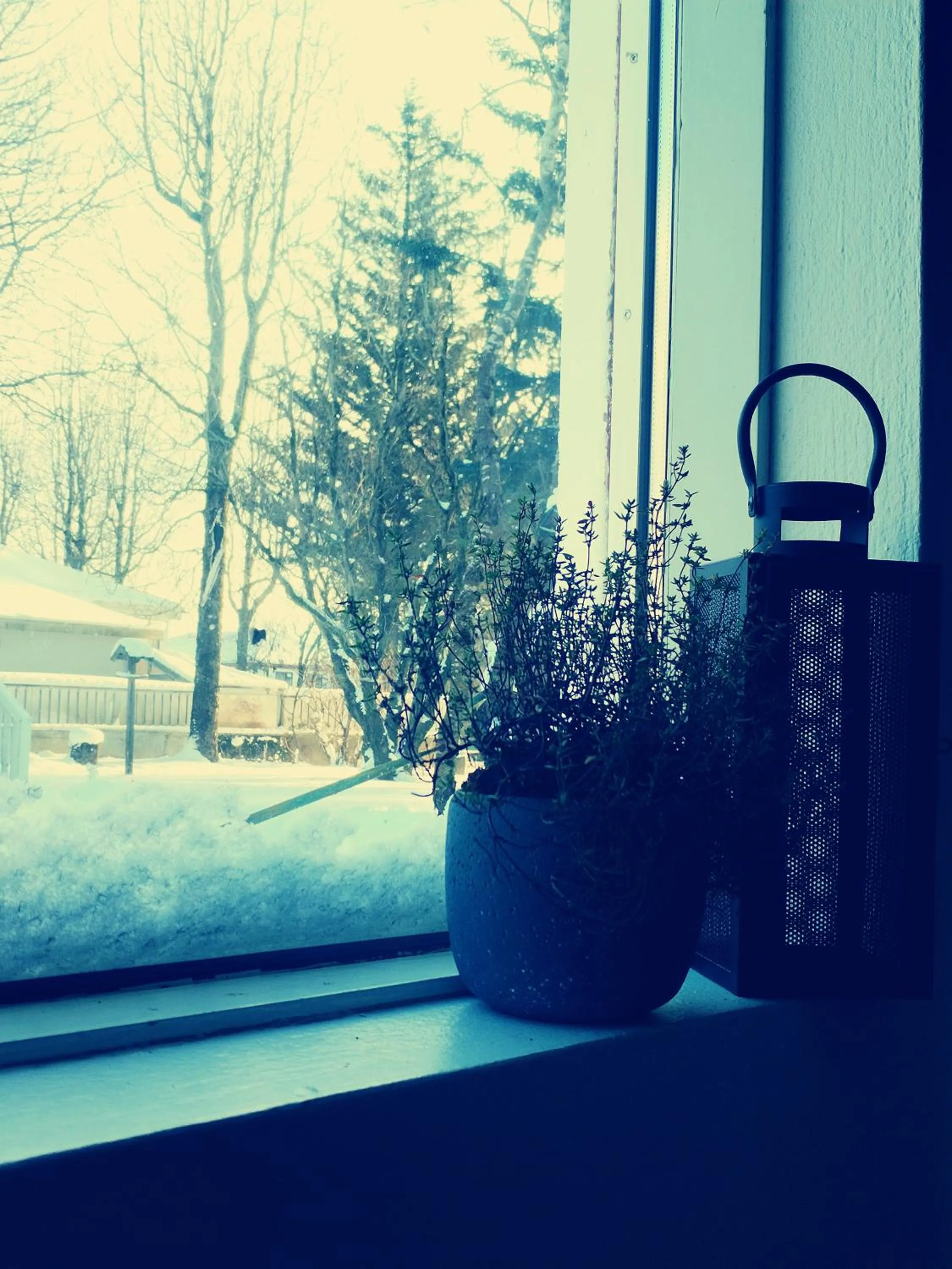 kitchen in Selfoss Hostel