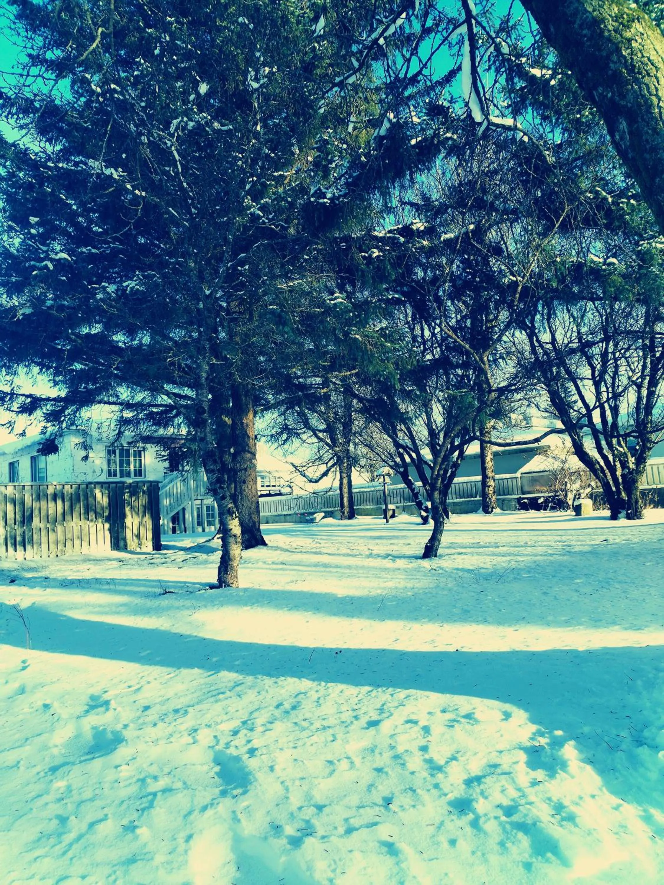 Garden in Selfoss Hostel