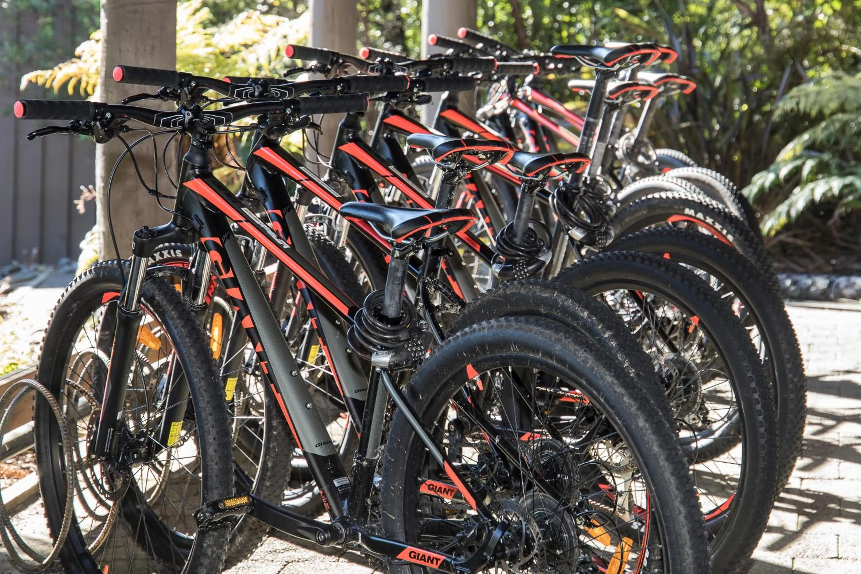 Cycling in Grand Mercure Puka Park Resort