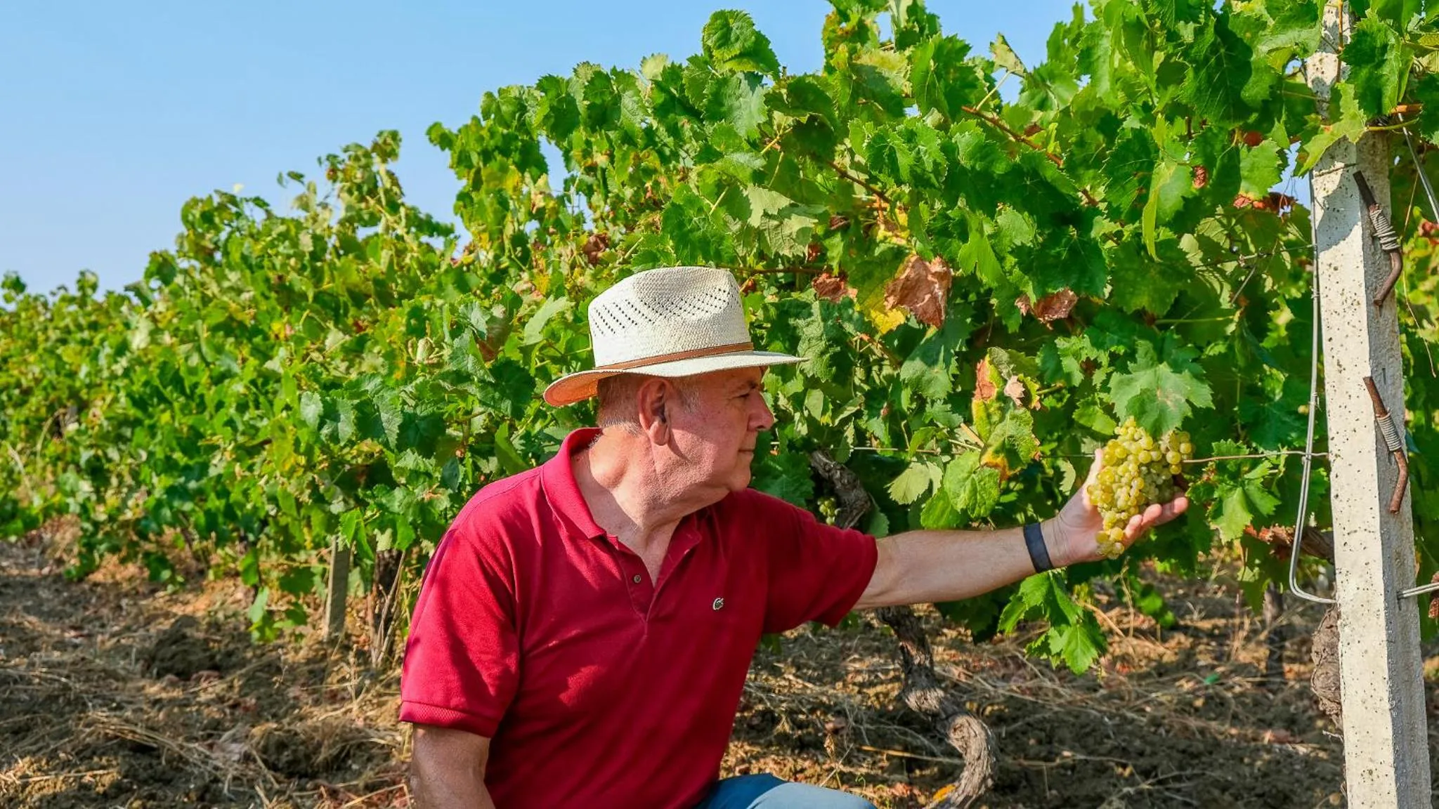 People in Fattoria Manostalla Villa Chiarelli