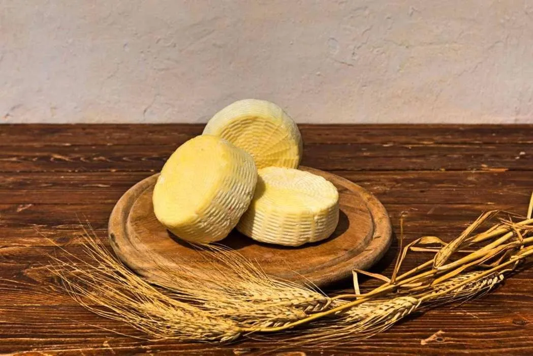 Fattoria Manostalla Villa Chiarelli