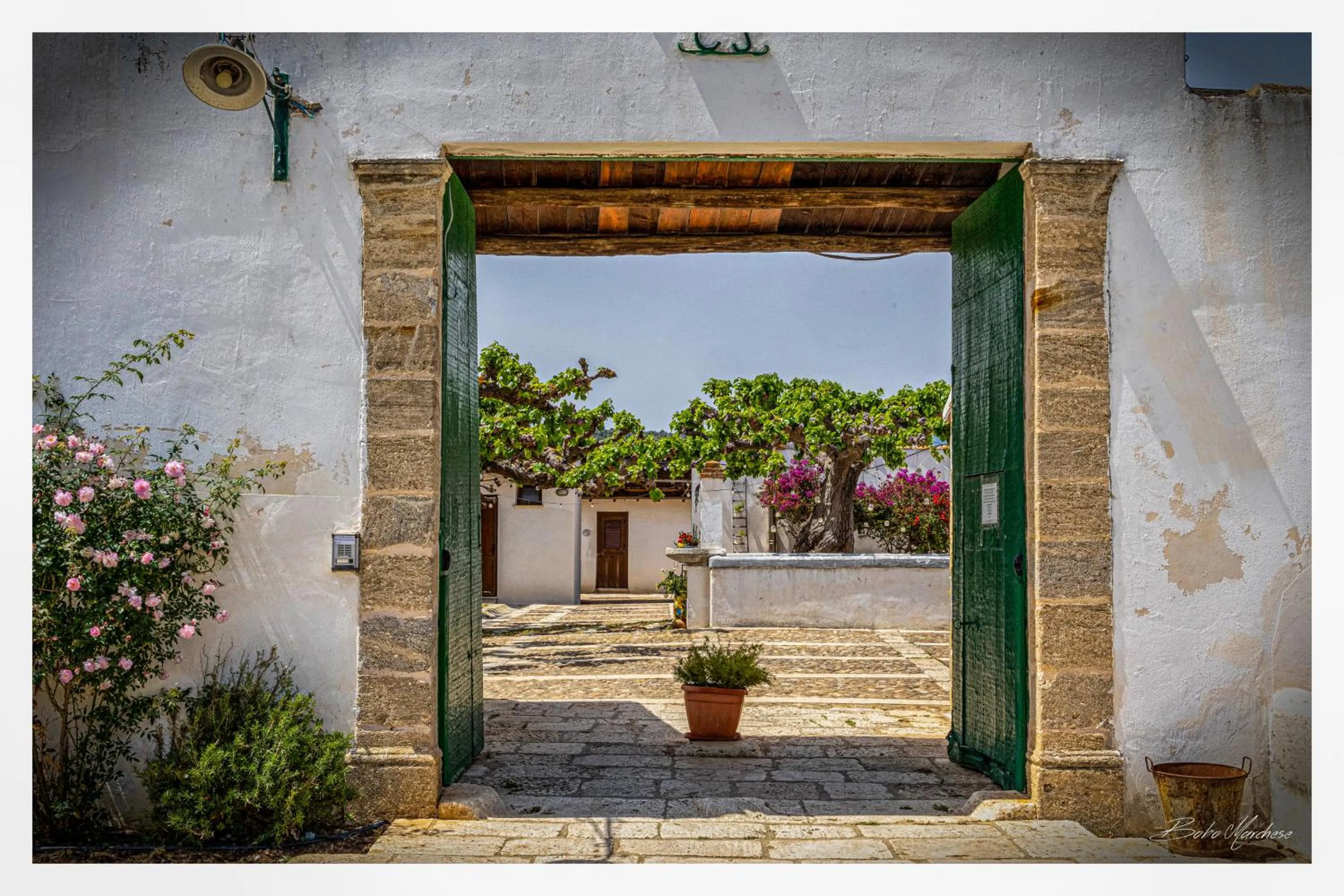 Day in Fattoria Manostalla Villa Chiarelli