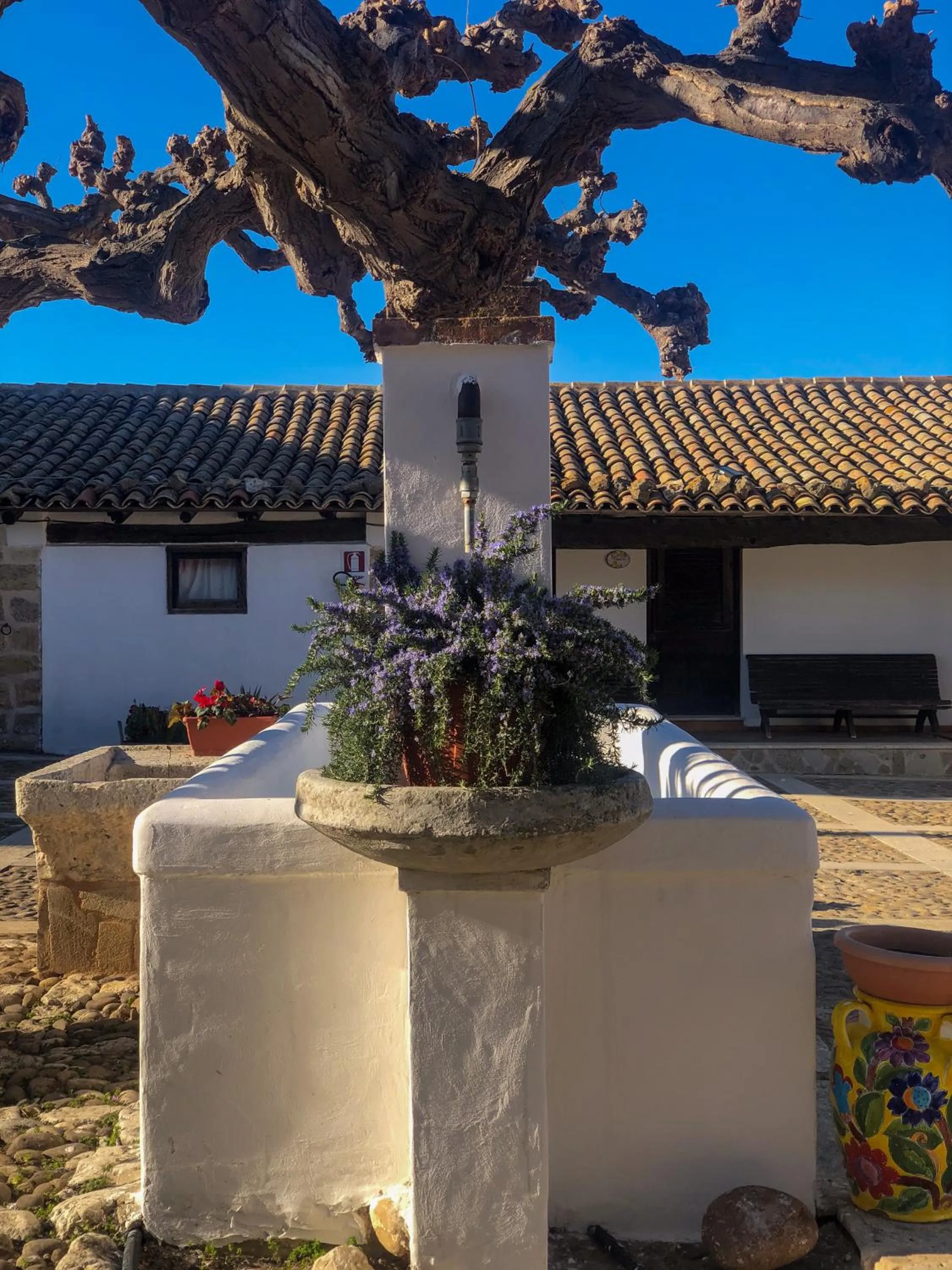 Property building in Fattoria Manostalla Villa Chiarelli