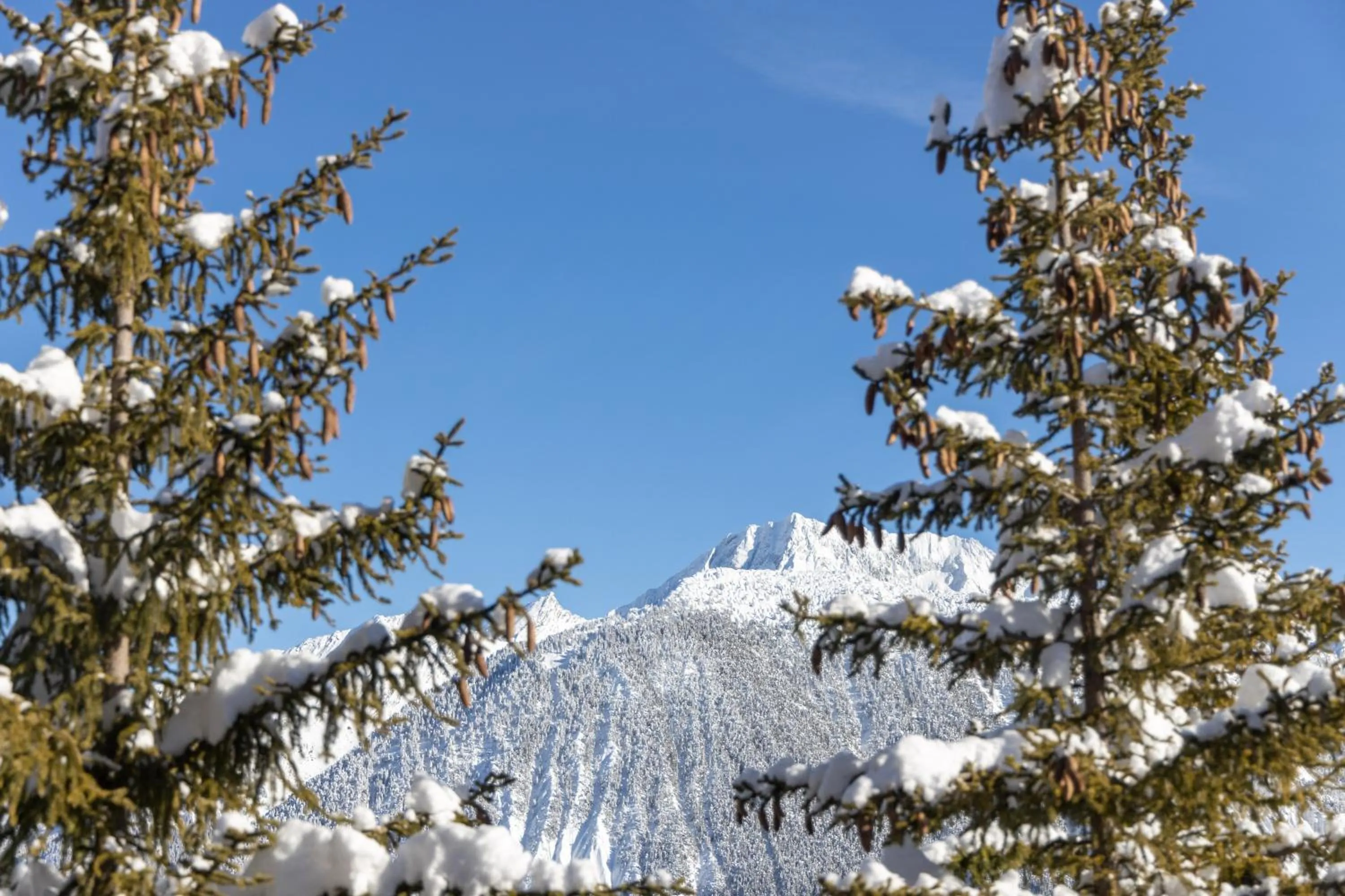 View (from property/room) in Grand Hôtel Courchevel 1850
