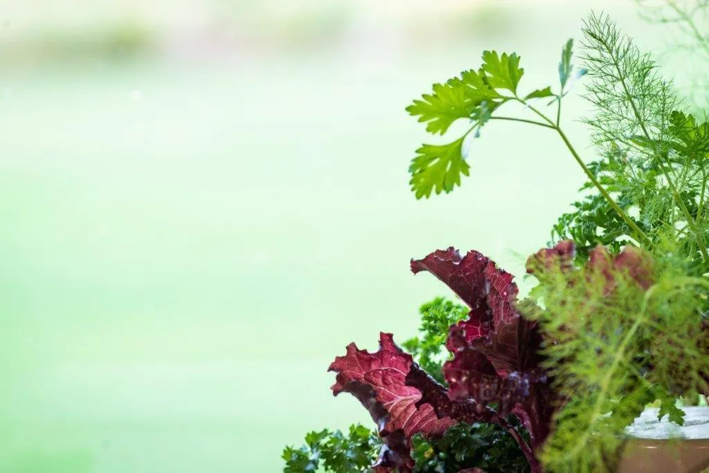 Natural landscape in Middelwater Farm Hotel