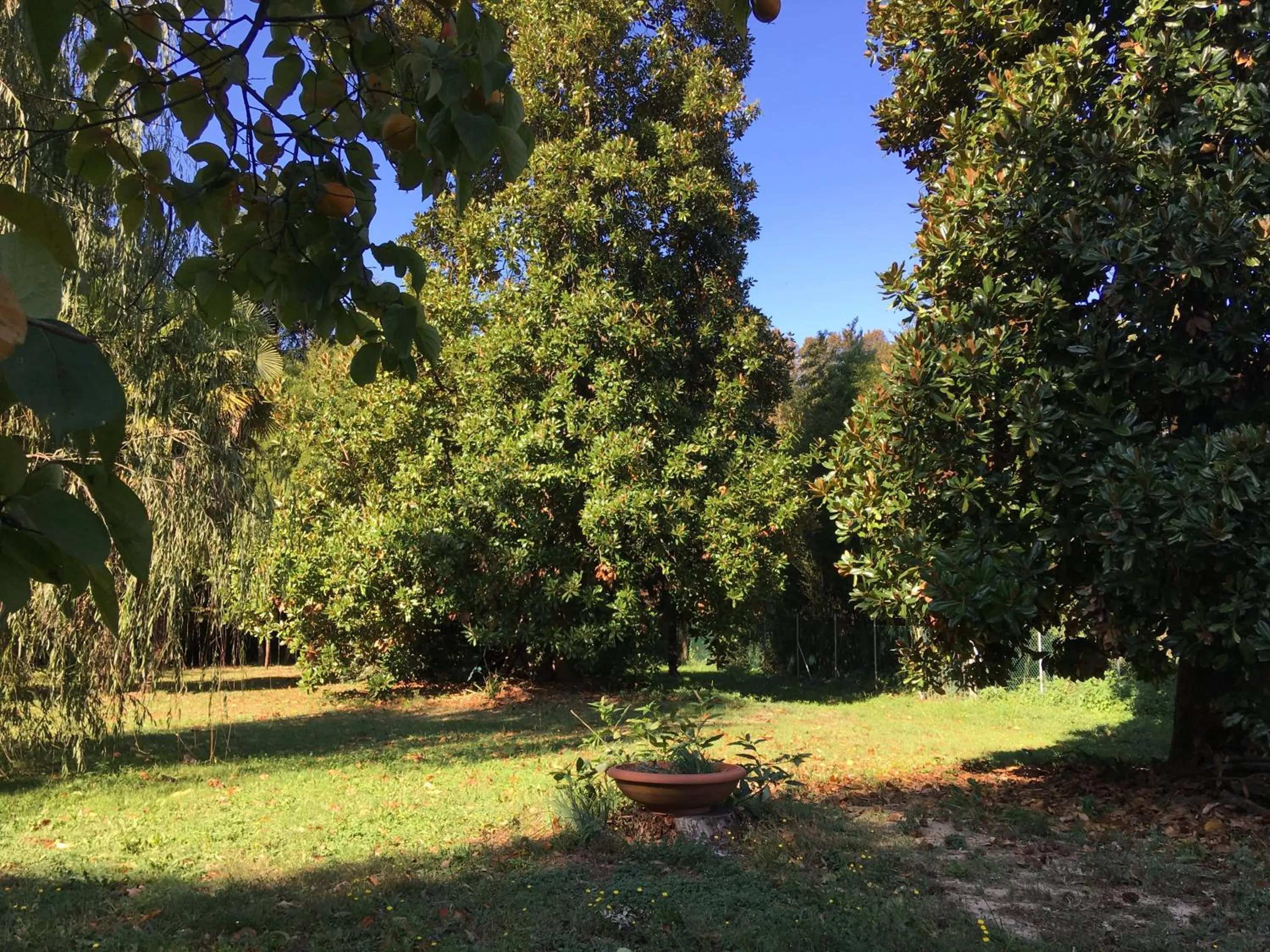 Garden in Villa La Dogana B&B di Charme - Historic Villa with a beautiful garden - private parking