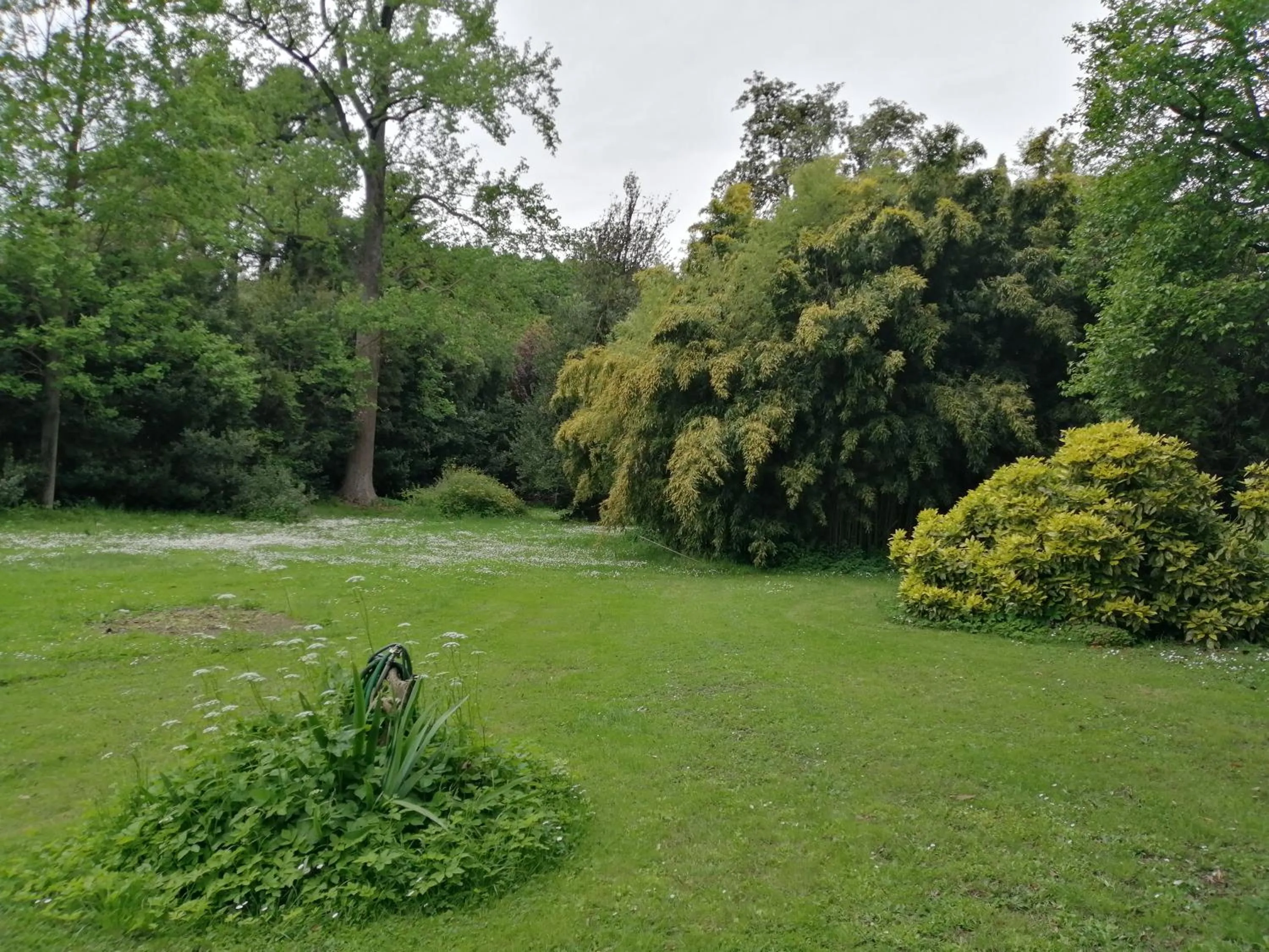 Villa La Dogana B&B di Charme - Historic Villa with a beautiful garden - private parking