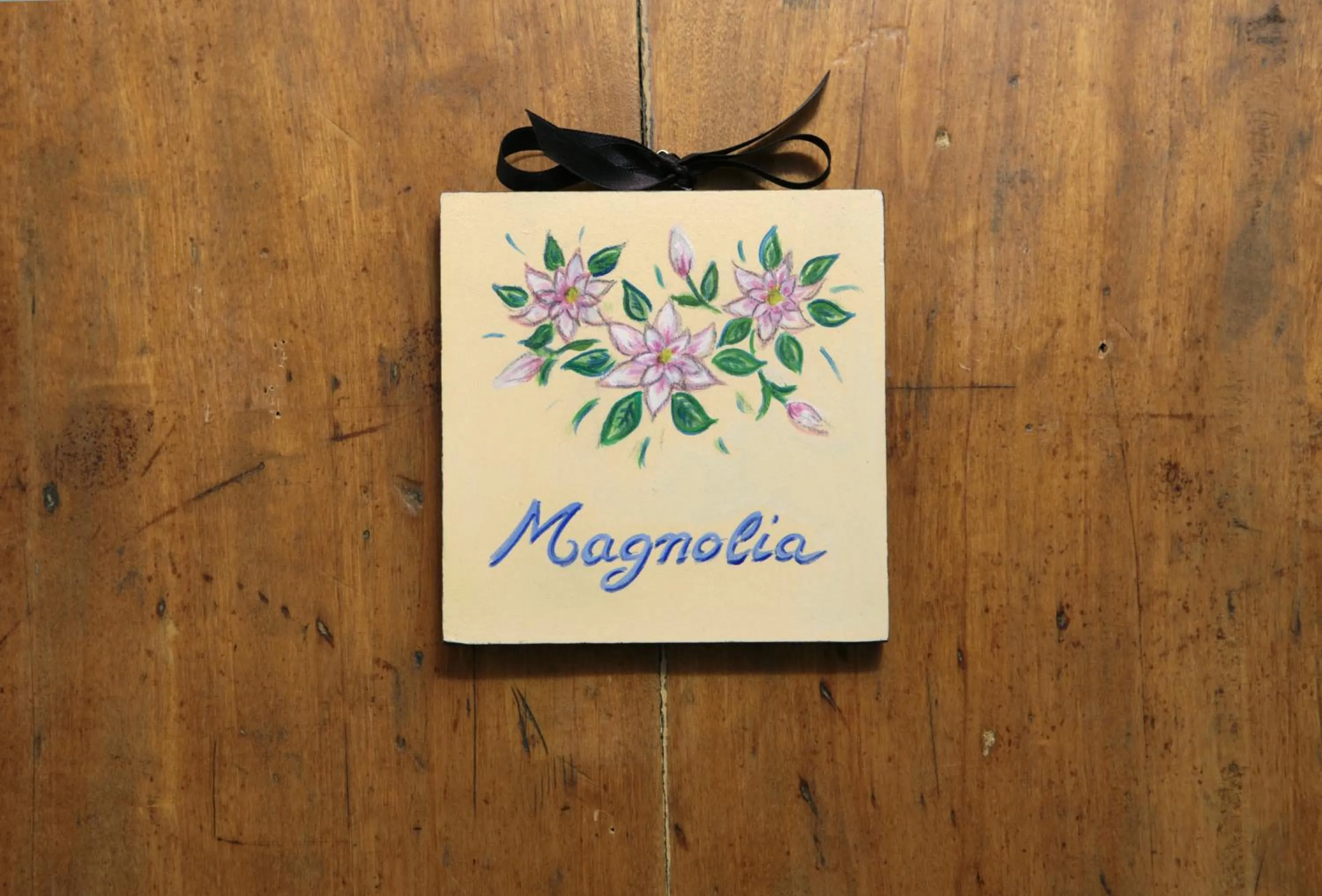 Villa La Dogana B&B di Charme - Historic Villa with a beautiful garden - private parking