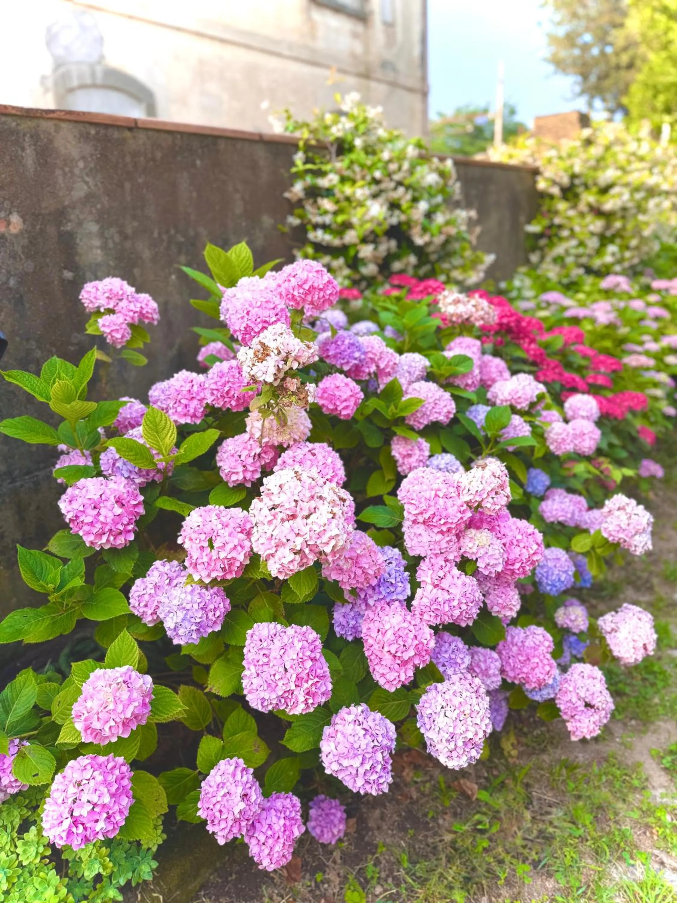 Villa La Dogana B&B di Charme - Historic Villa with a beautiful garden - private parking