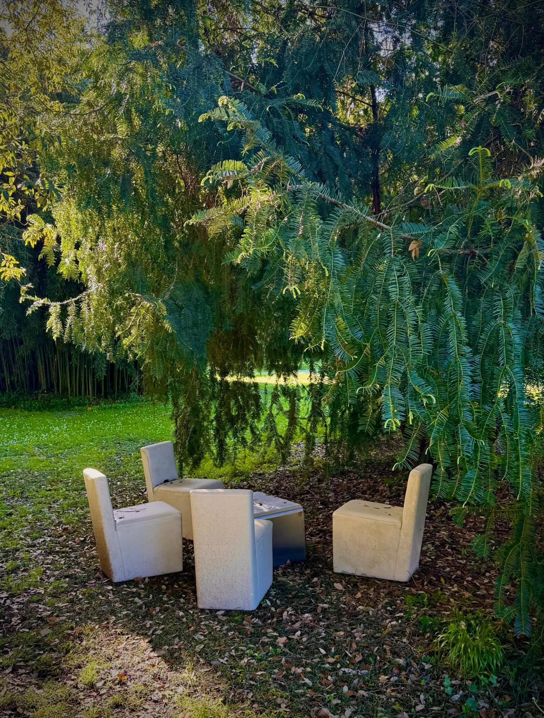 Villa La Dogana B&B di Charme - Historic Villa with a beautiful garden - private parking