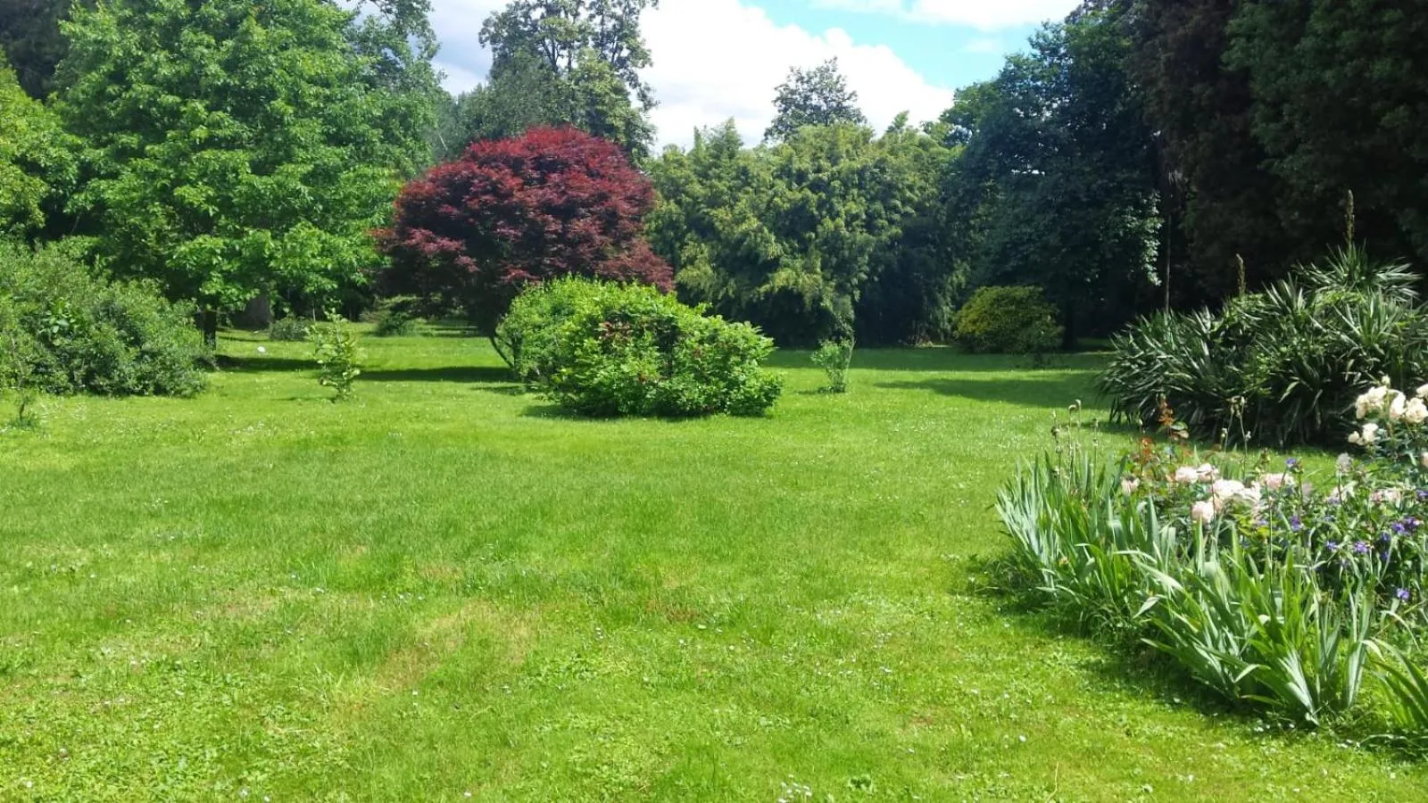 Villa La Dogana B&B di Charme - Historic Villa with a beautiful garden - private parking