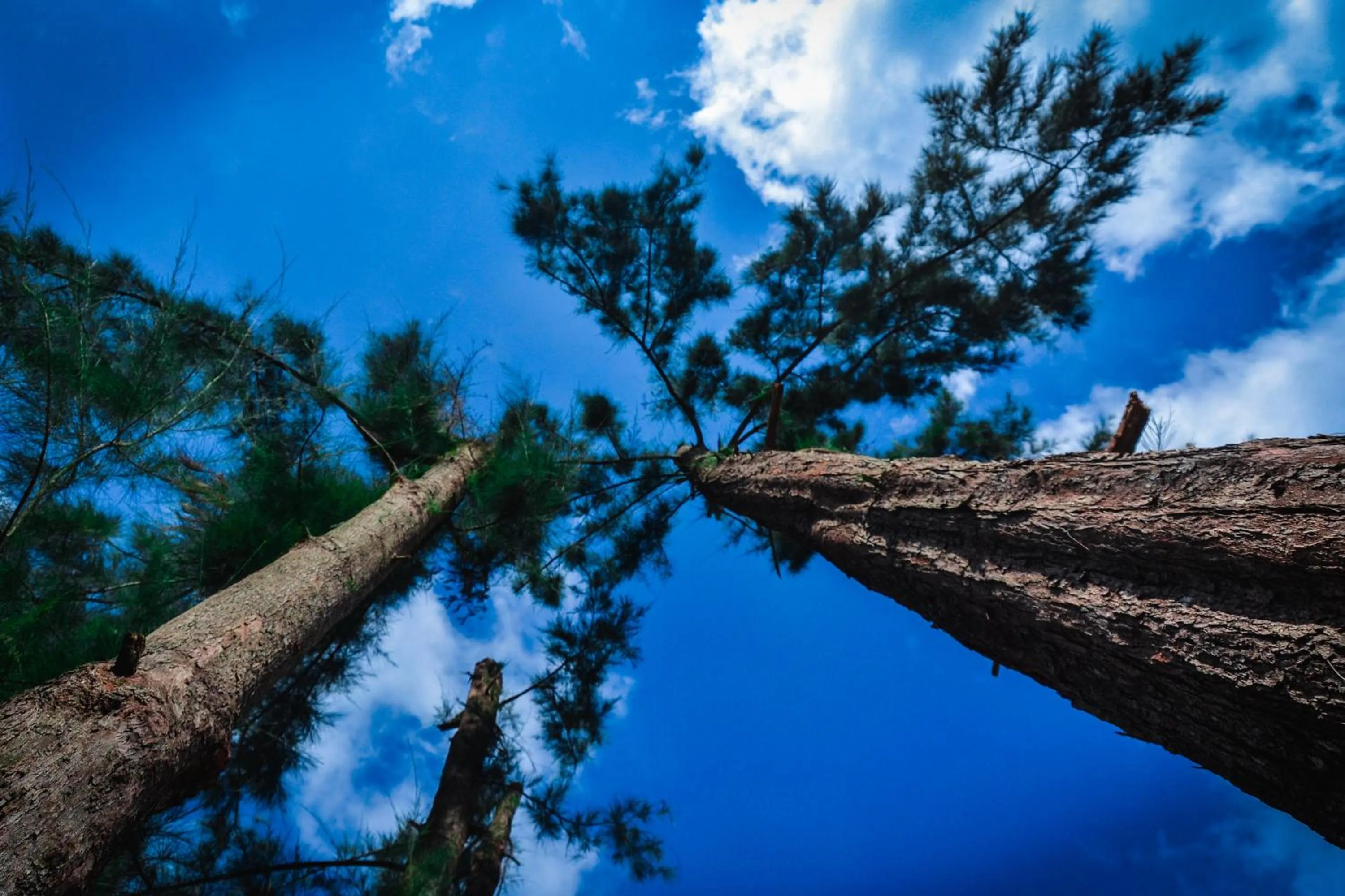 Property building in Baan Tubkaek Hotel