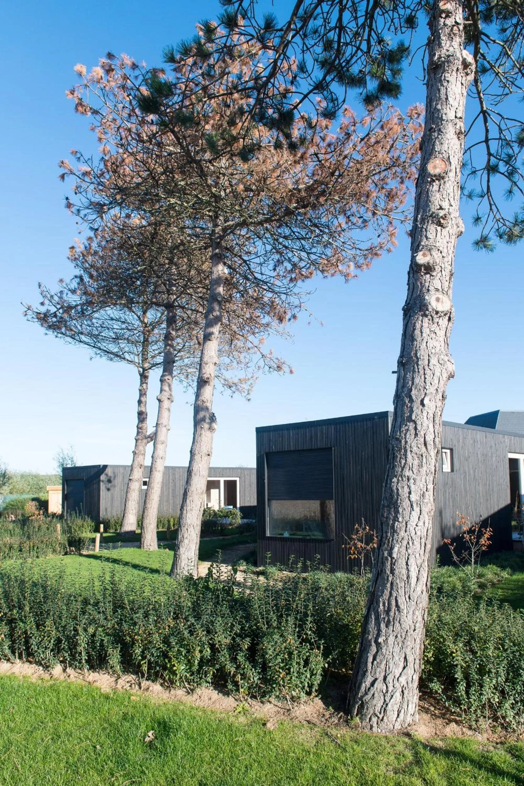 Garden in Fields of Ellis