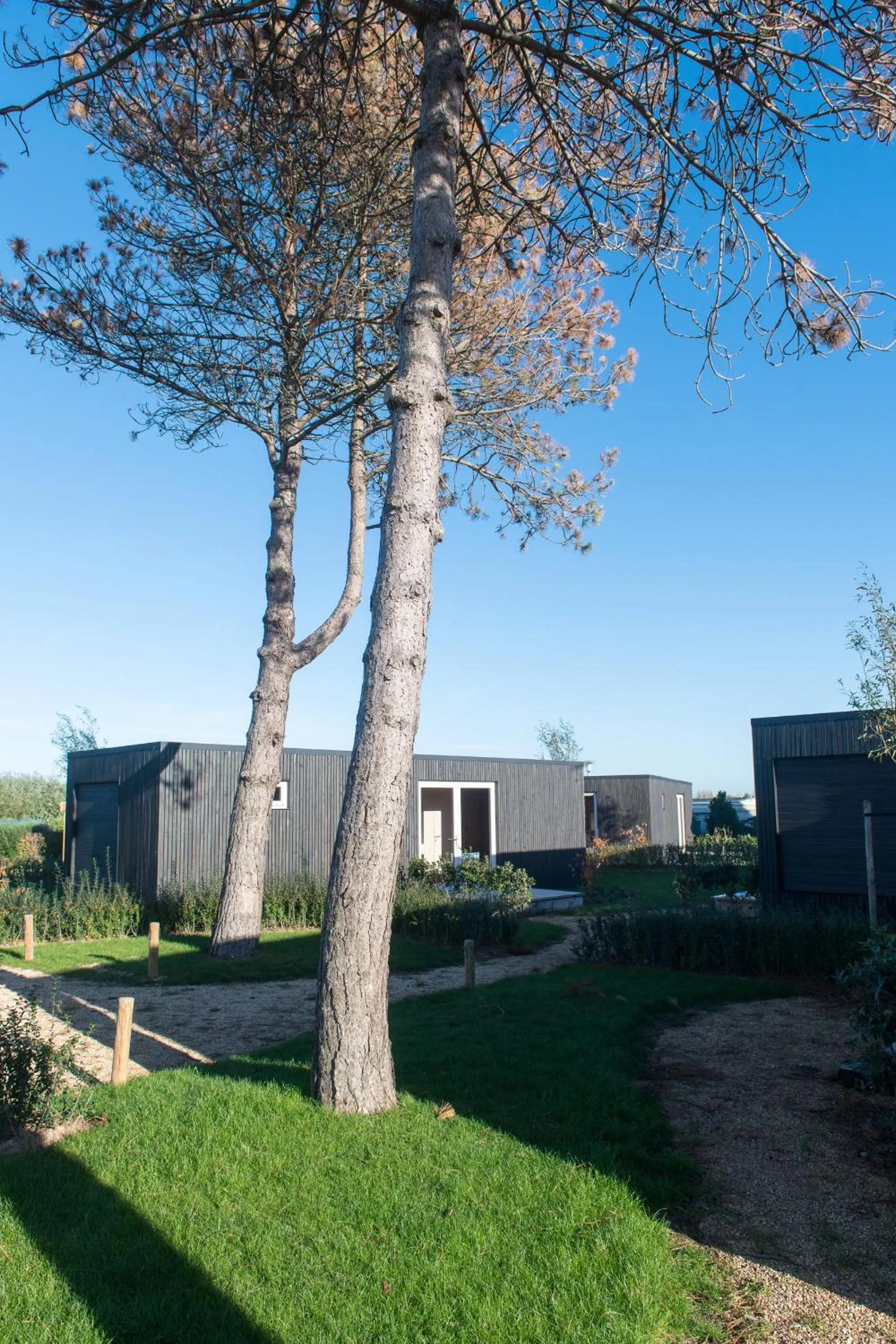 Property building in Fields of Ellis