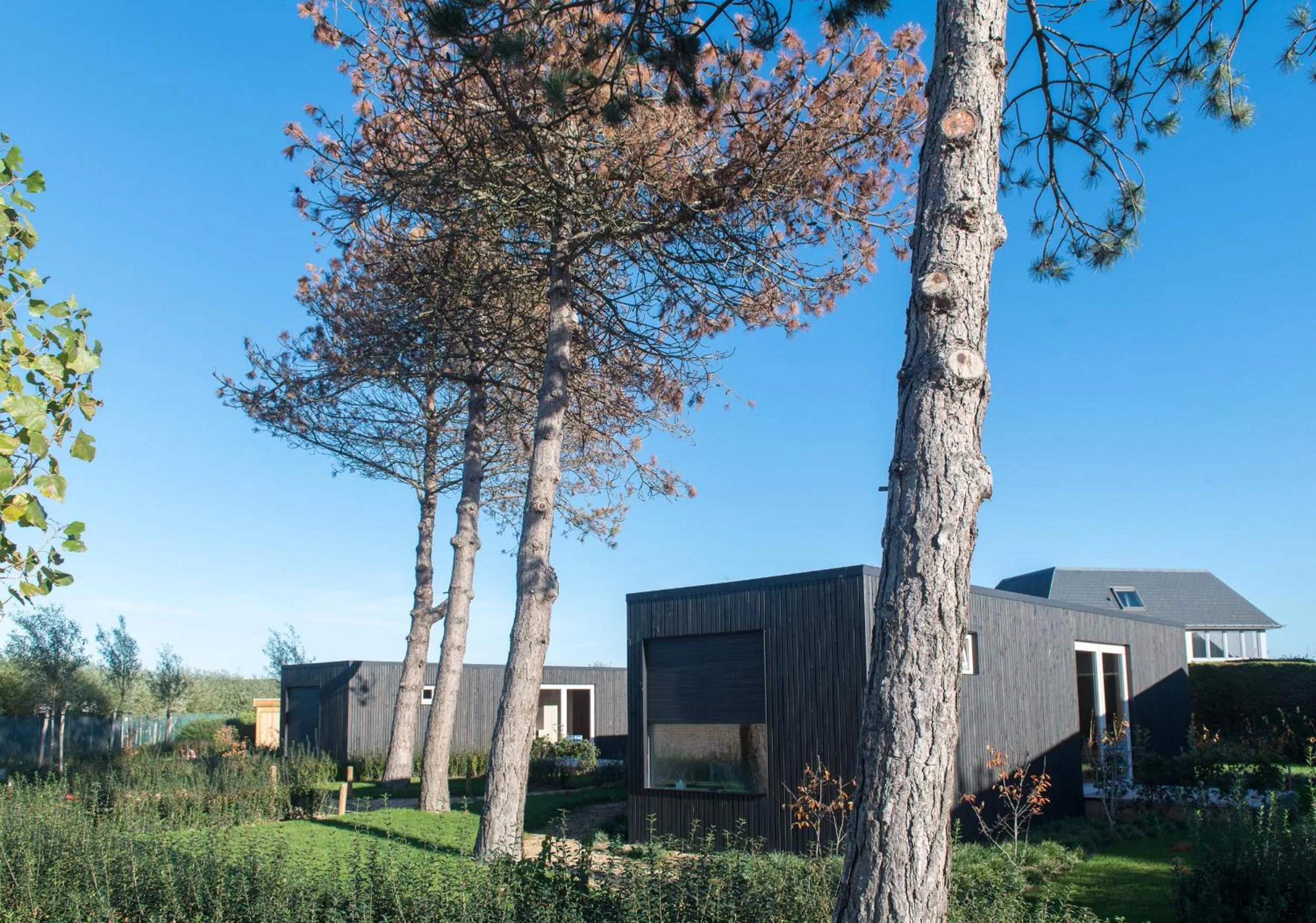 Garden view in Fields of Ellis