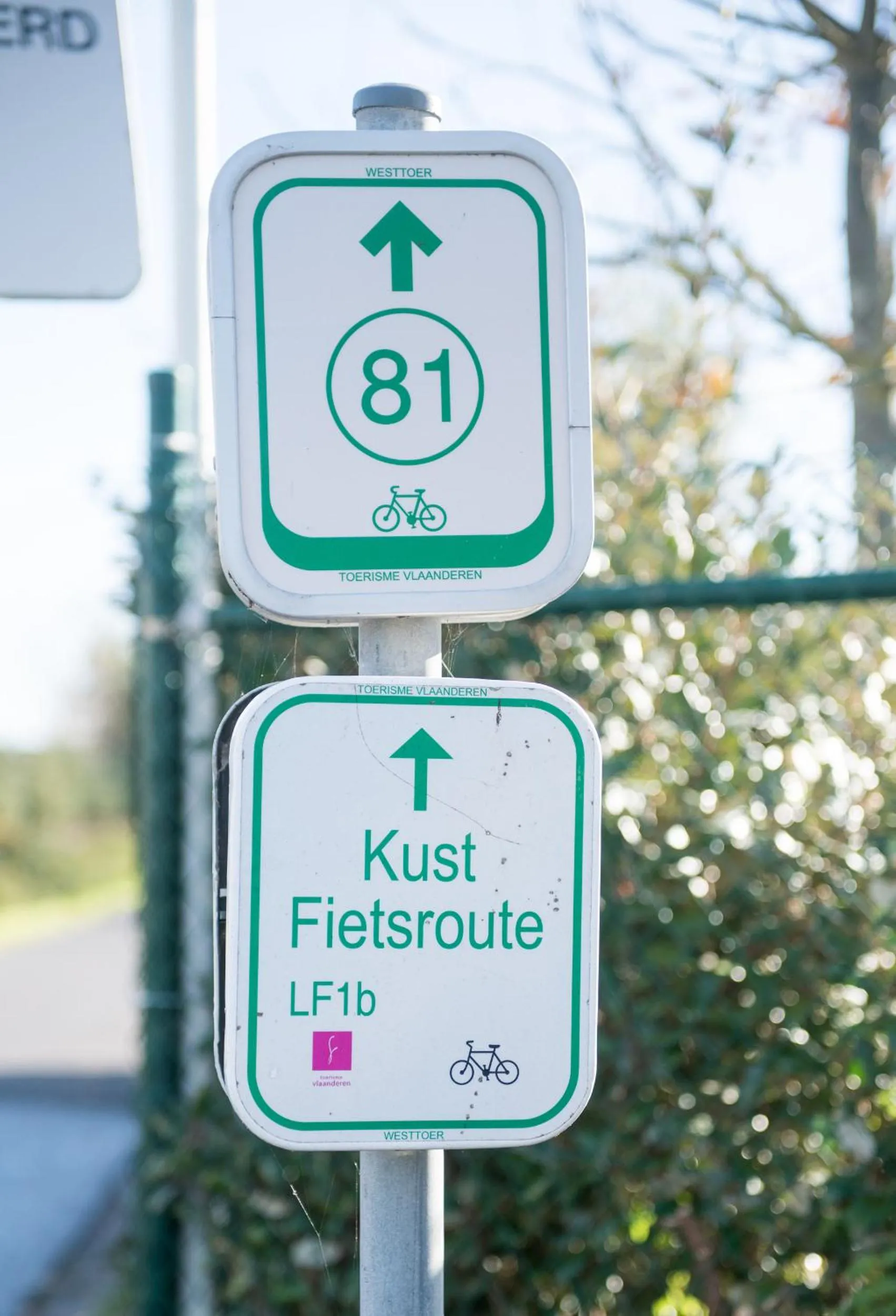 Cycling in Fields of Ellis