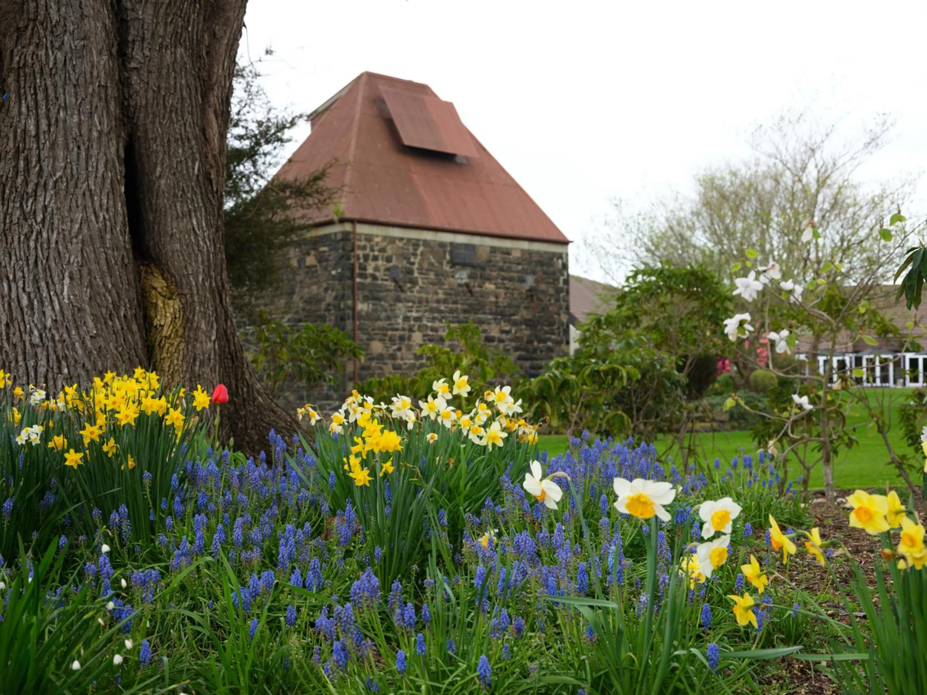 Garden in Dunedin Leisure Lodge - Distinction