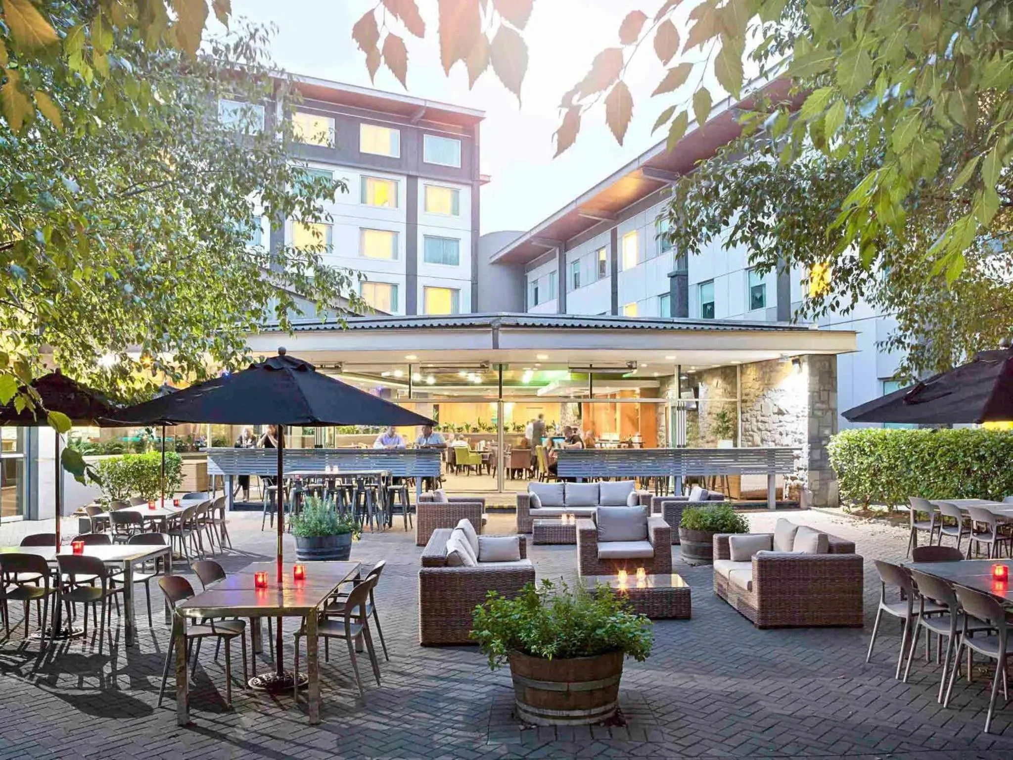 Lounge or bar in Novotel Auckland Ellerslie