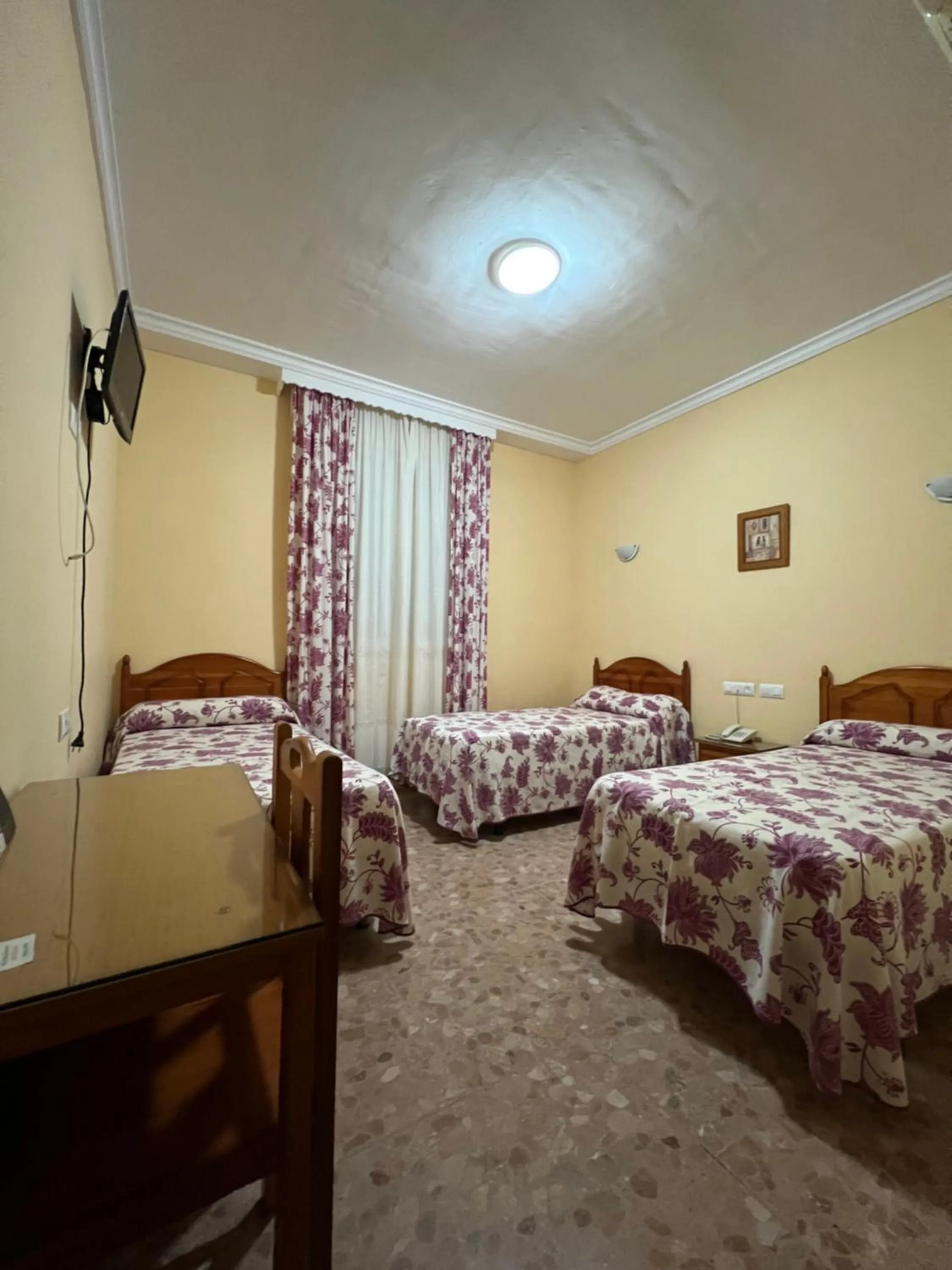 Triple Room in Hotel Chamizo