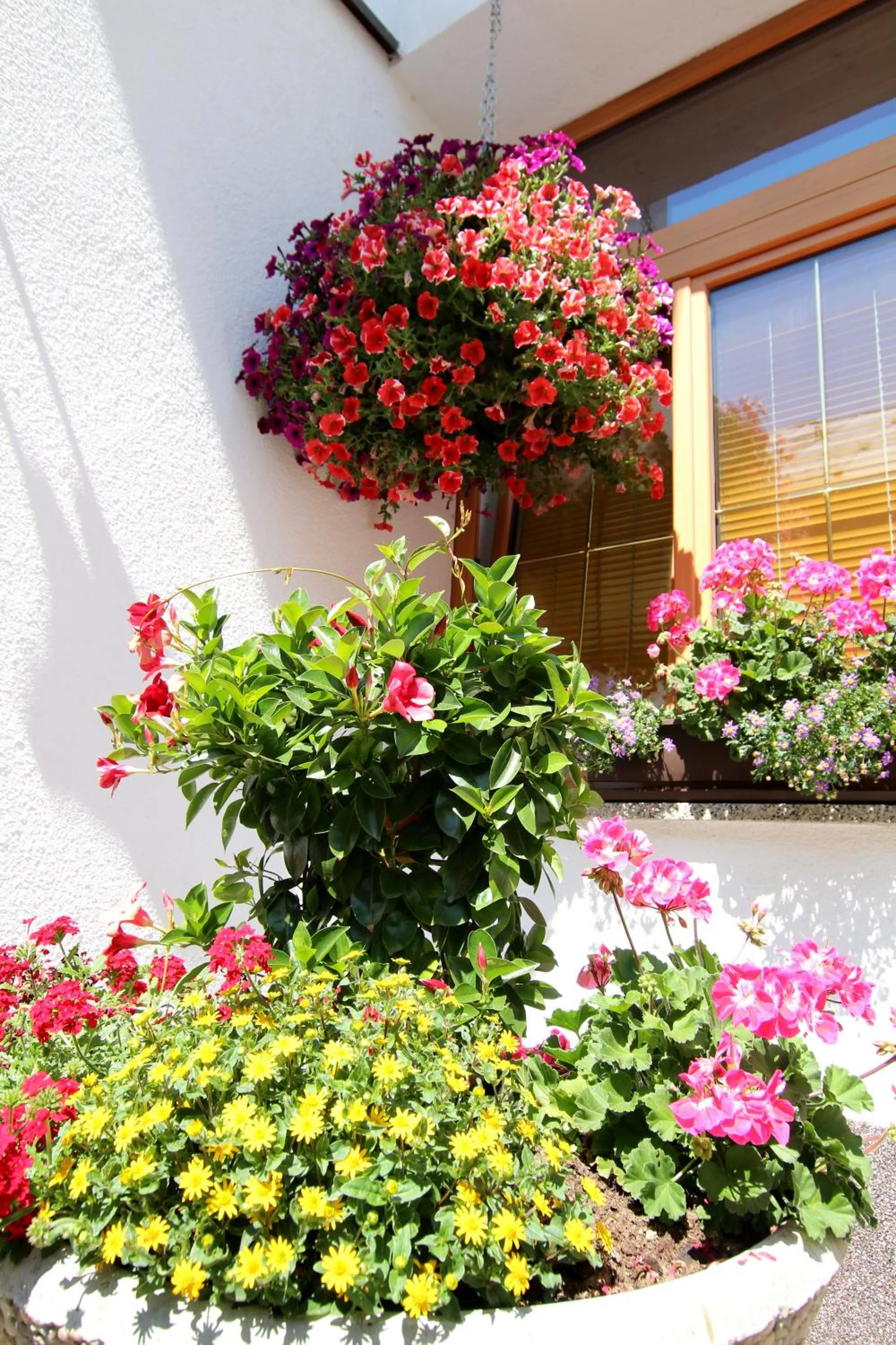 Spring in Gästeheim Anni Winkler