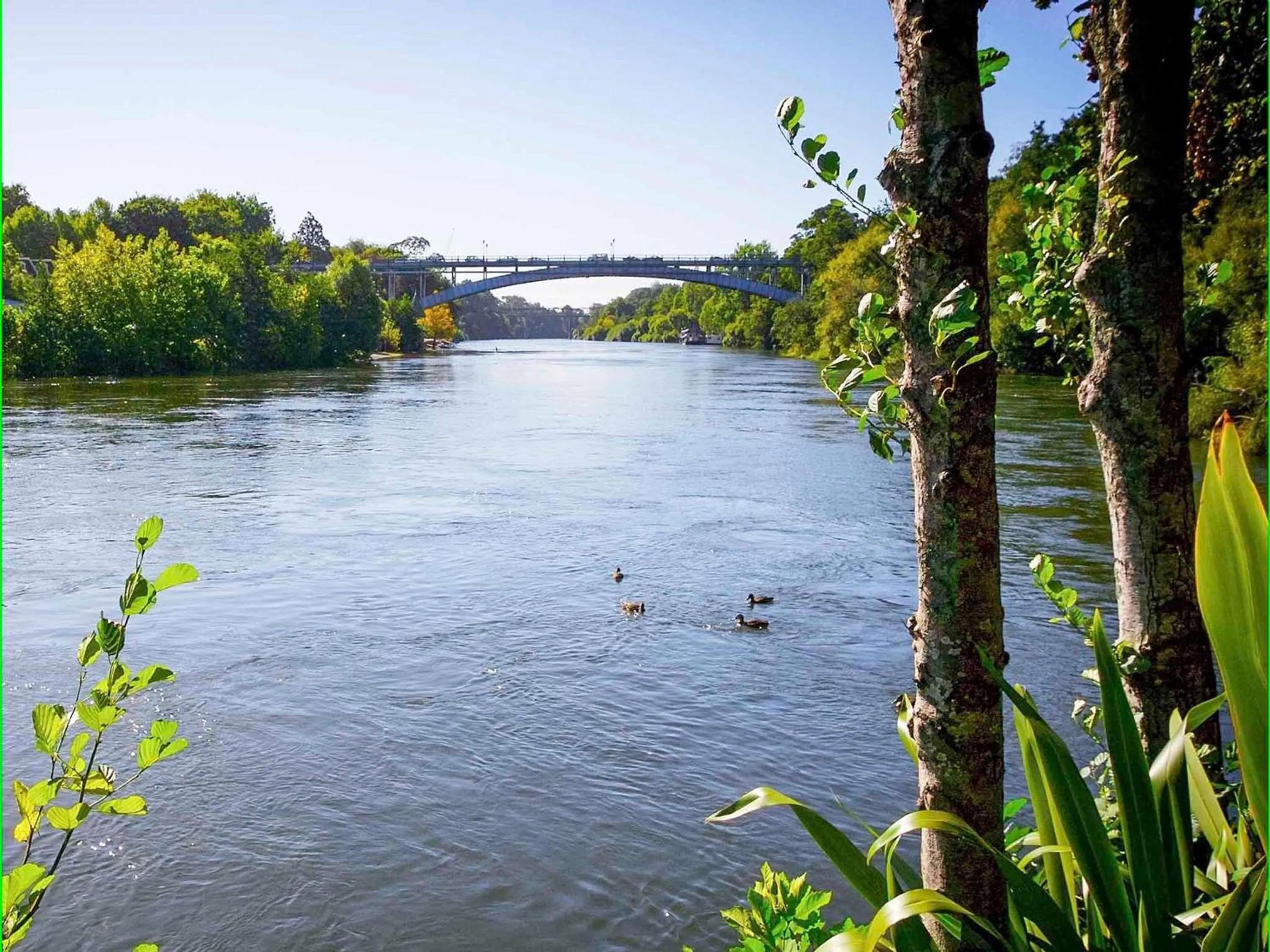 Other in Novotel Tainui Hamilton