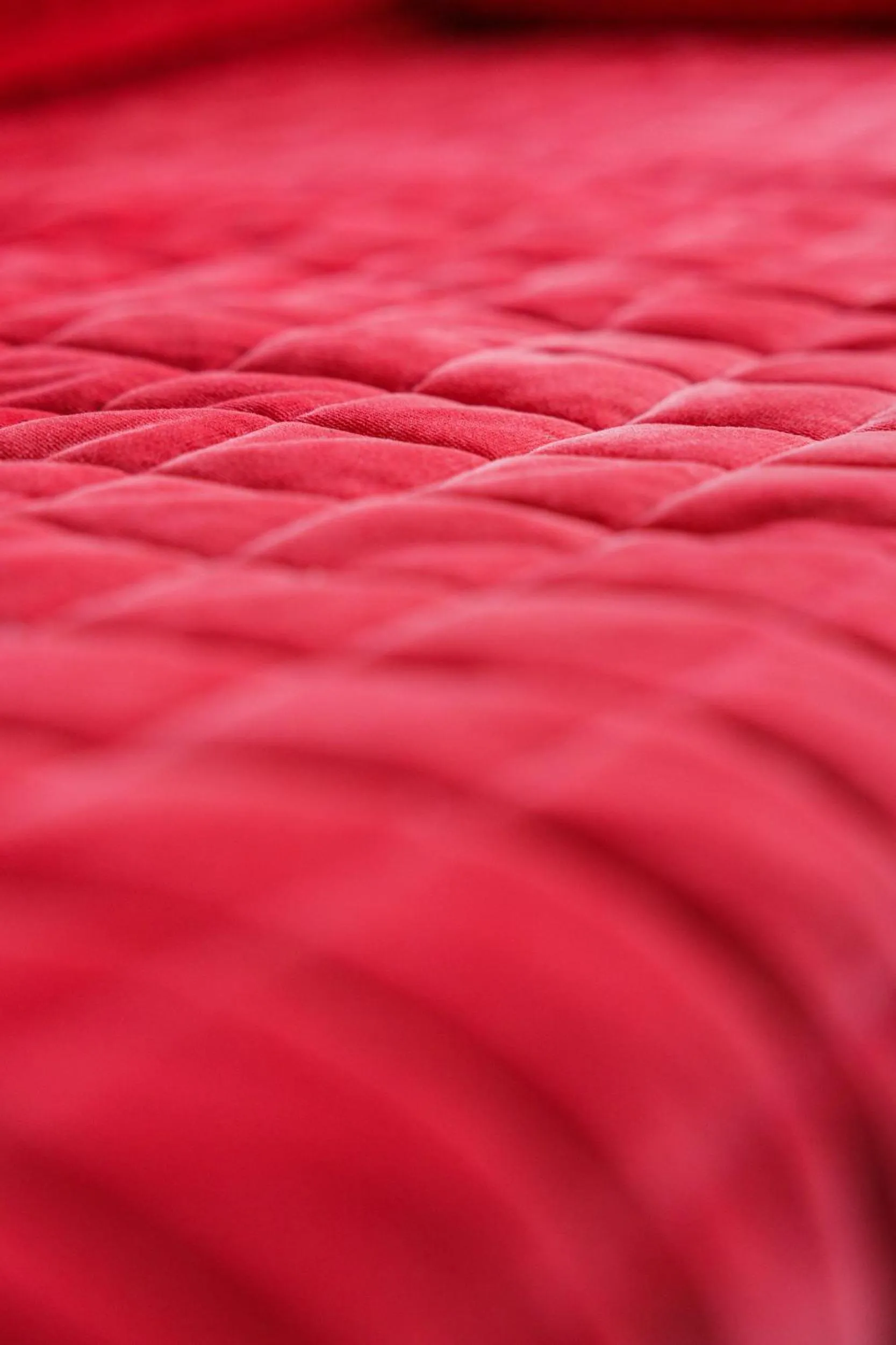 Decorative detail in Civico13