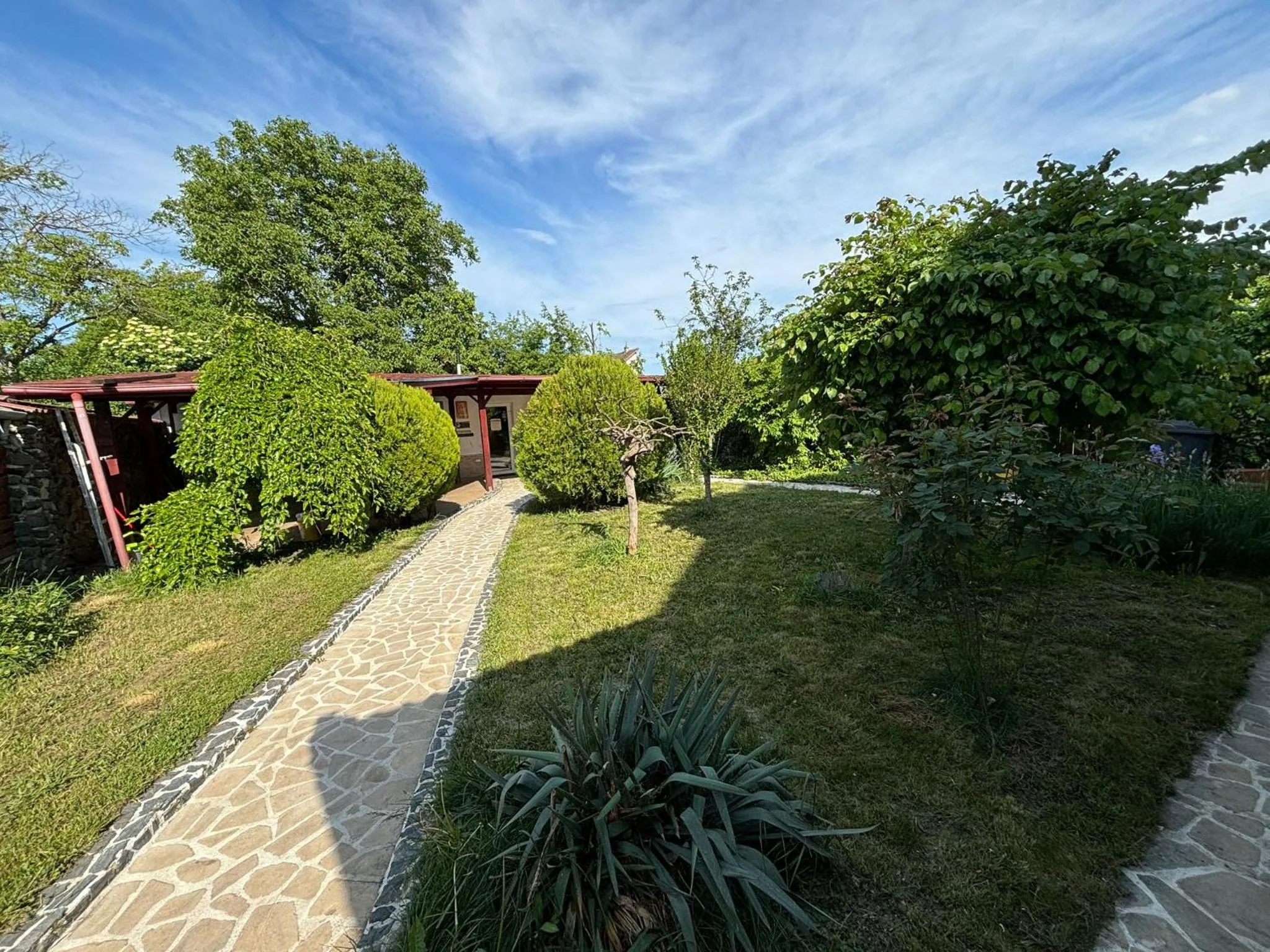 Natural landscape in Vila Daddy