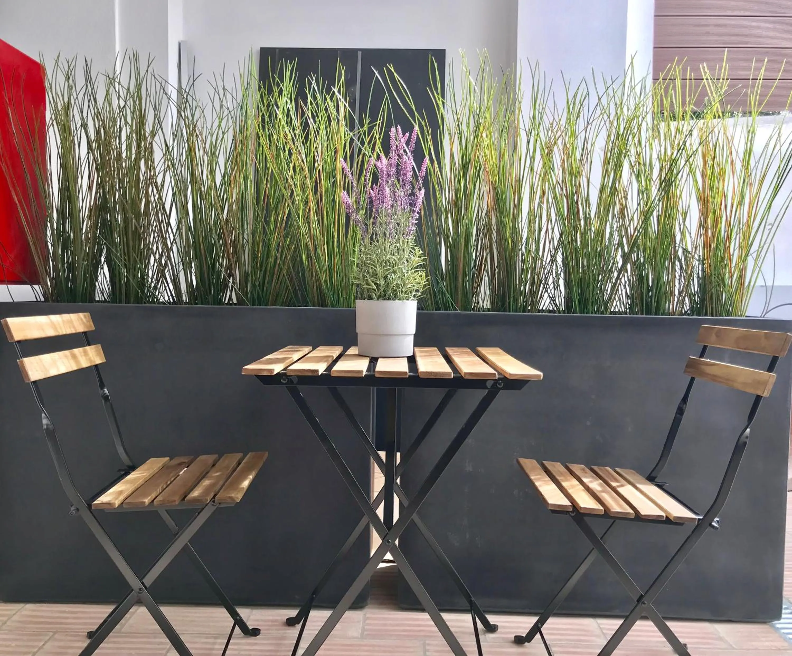 Patio in Alameda Exclusive House