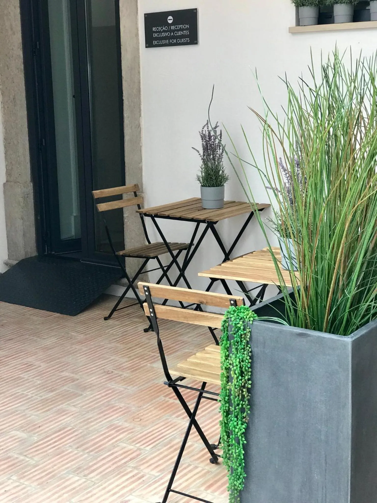 Patio in Alameda Exclusive House