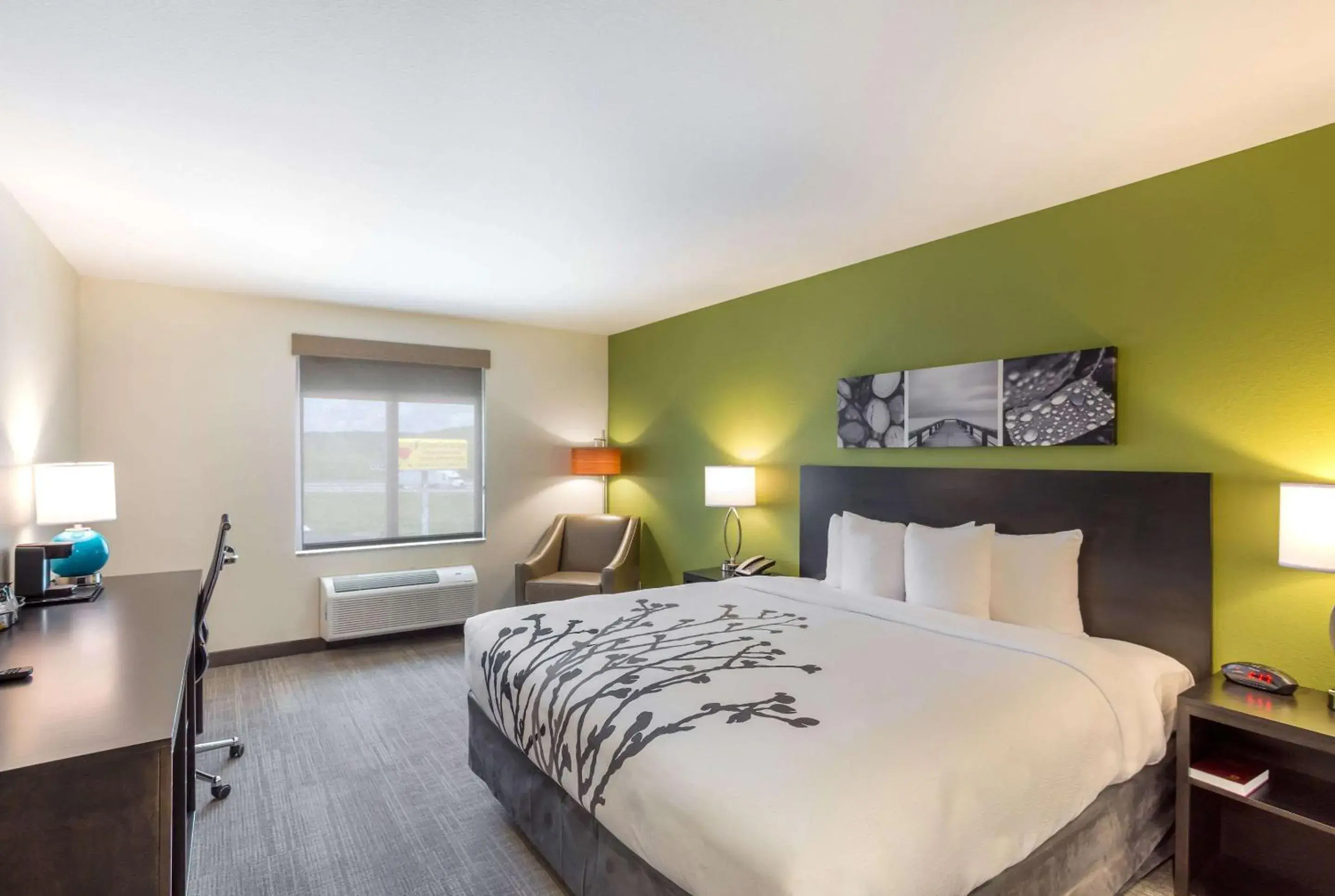 Photo of the whole room, Bed in Sleep Inn Logan Ohio-Hocking Hills Photo of the whole room, Bed in Sleep Inn Logan Ohio-Hocking Hills