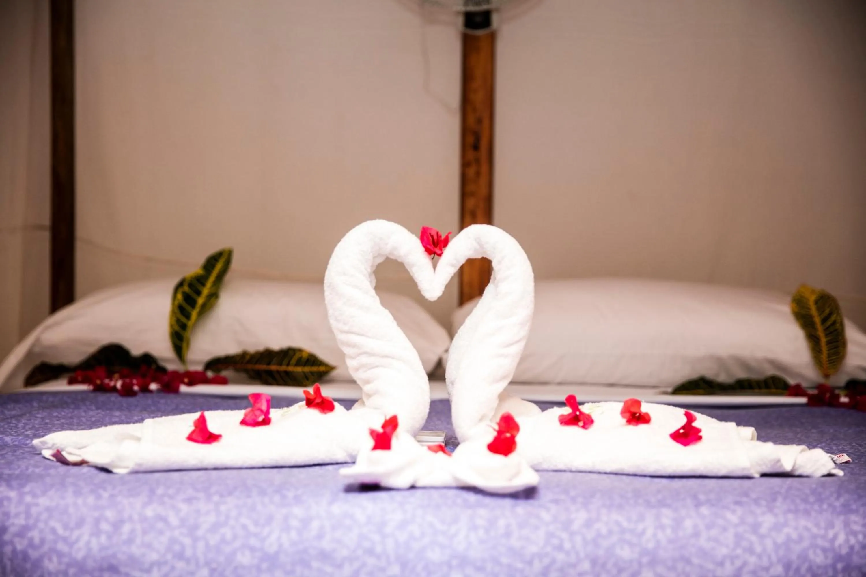 Double Room in Hotel El Copal