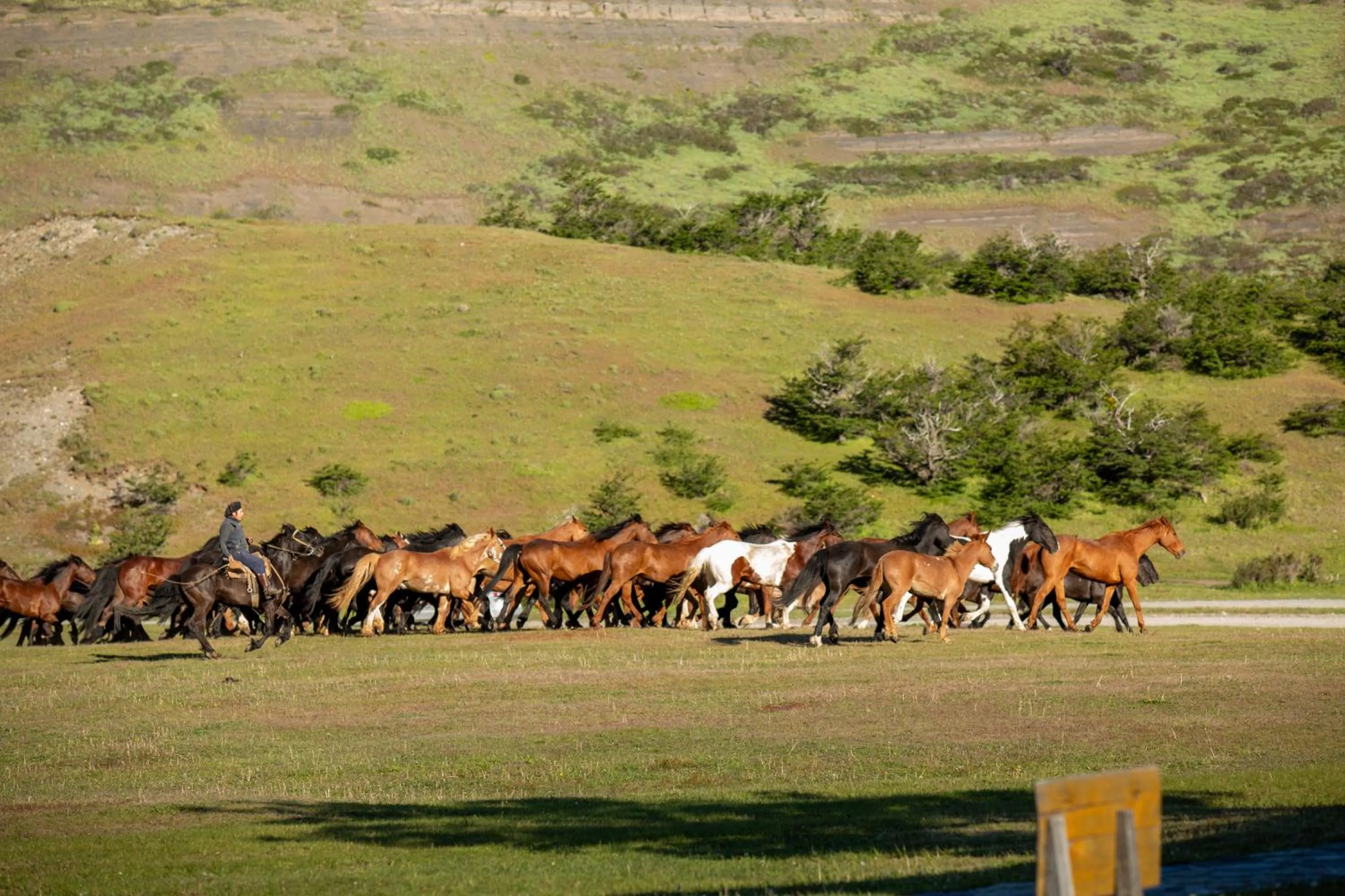 Day in Hotel Las Torres Patagonia