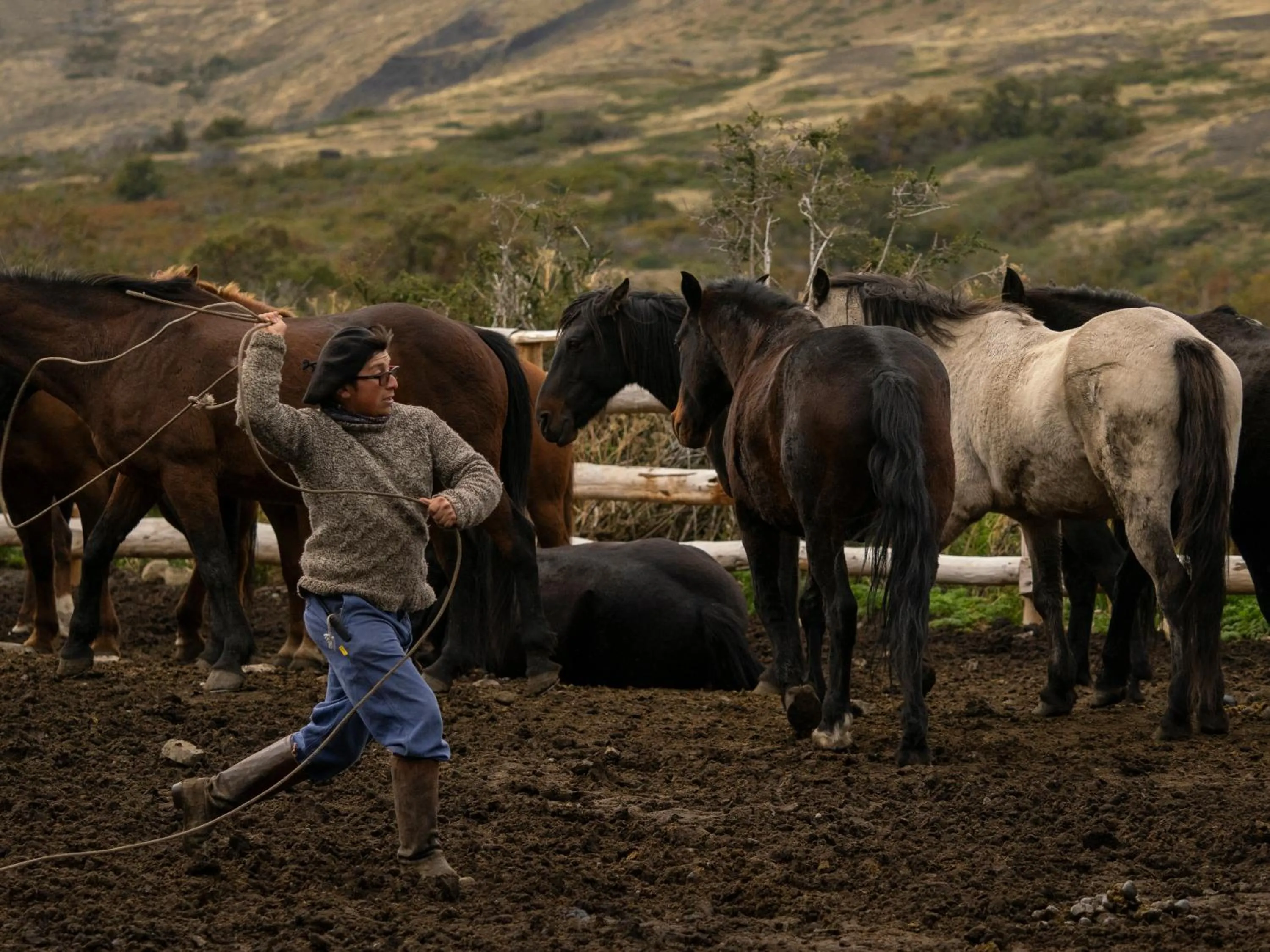 Horse-riding in Hotel Las Torres Patagonia