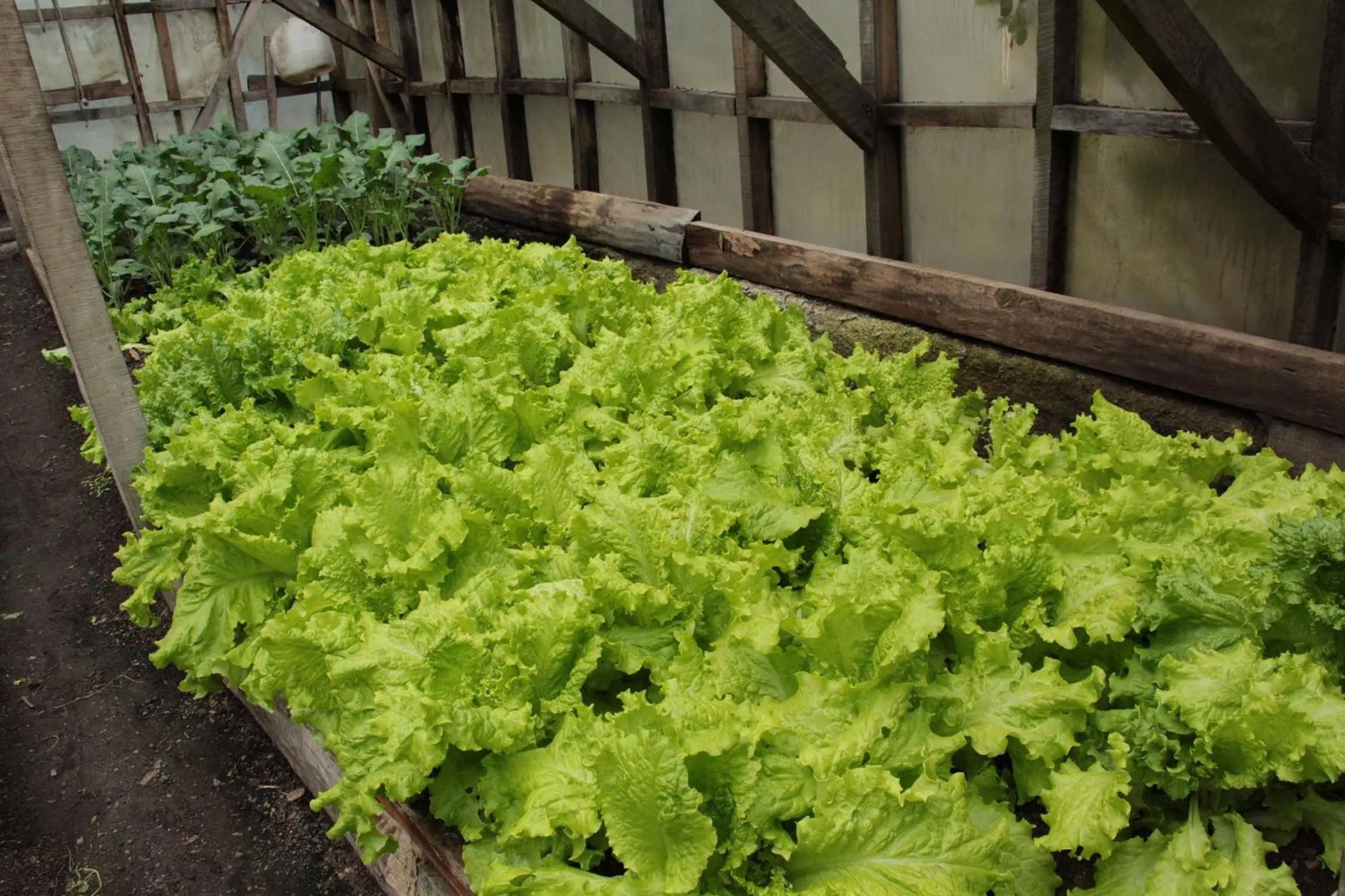 Garden in Hotel Las Torres Patagonia