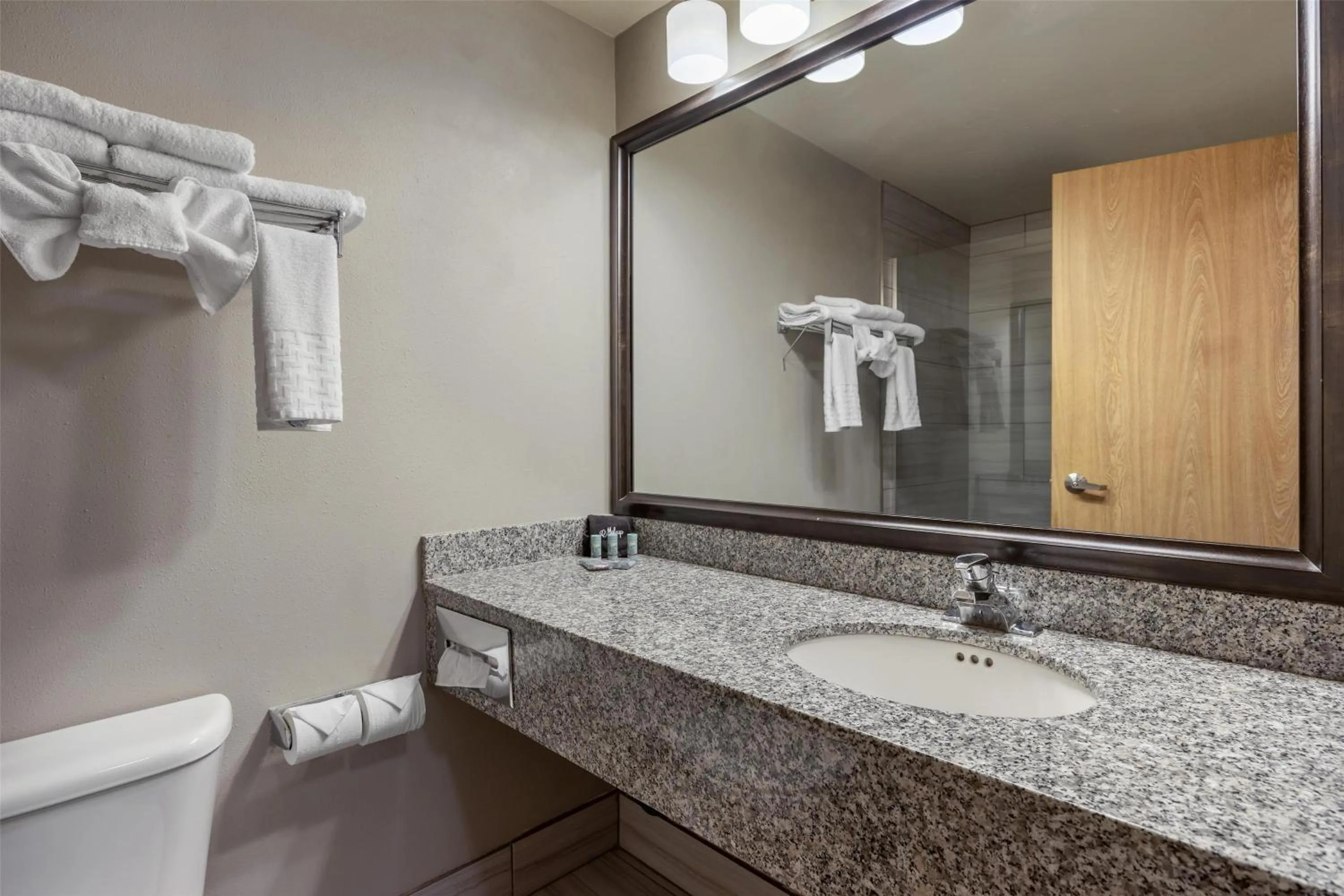 Bathroom in Best Western Sawtooth Inn and Suites