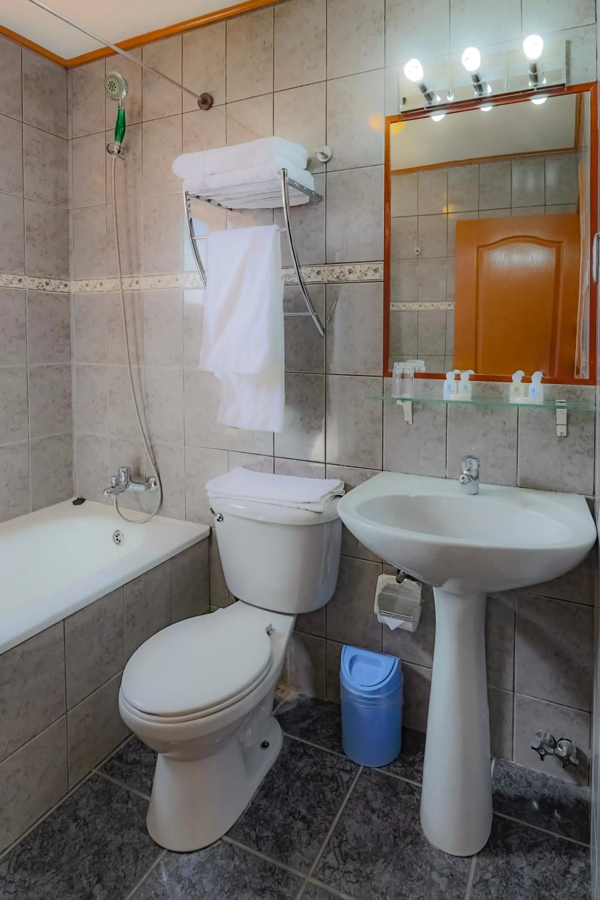 Standard Triple Room in Hotel Saltos del Paine