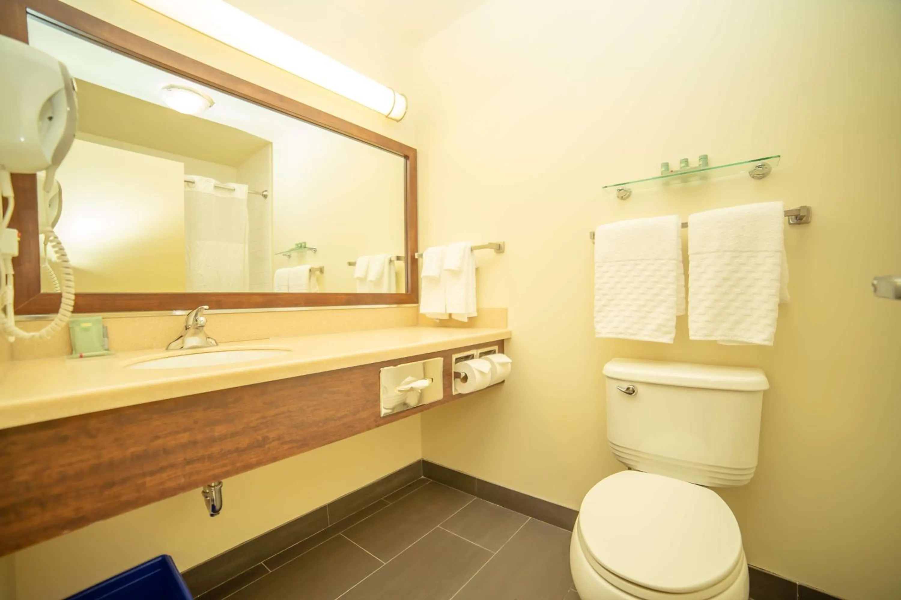 Bathroom in Best Western Thompson