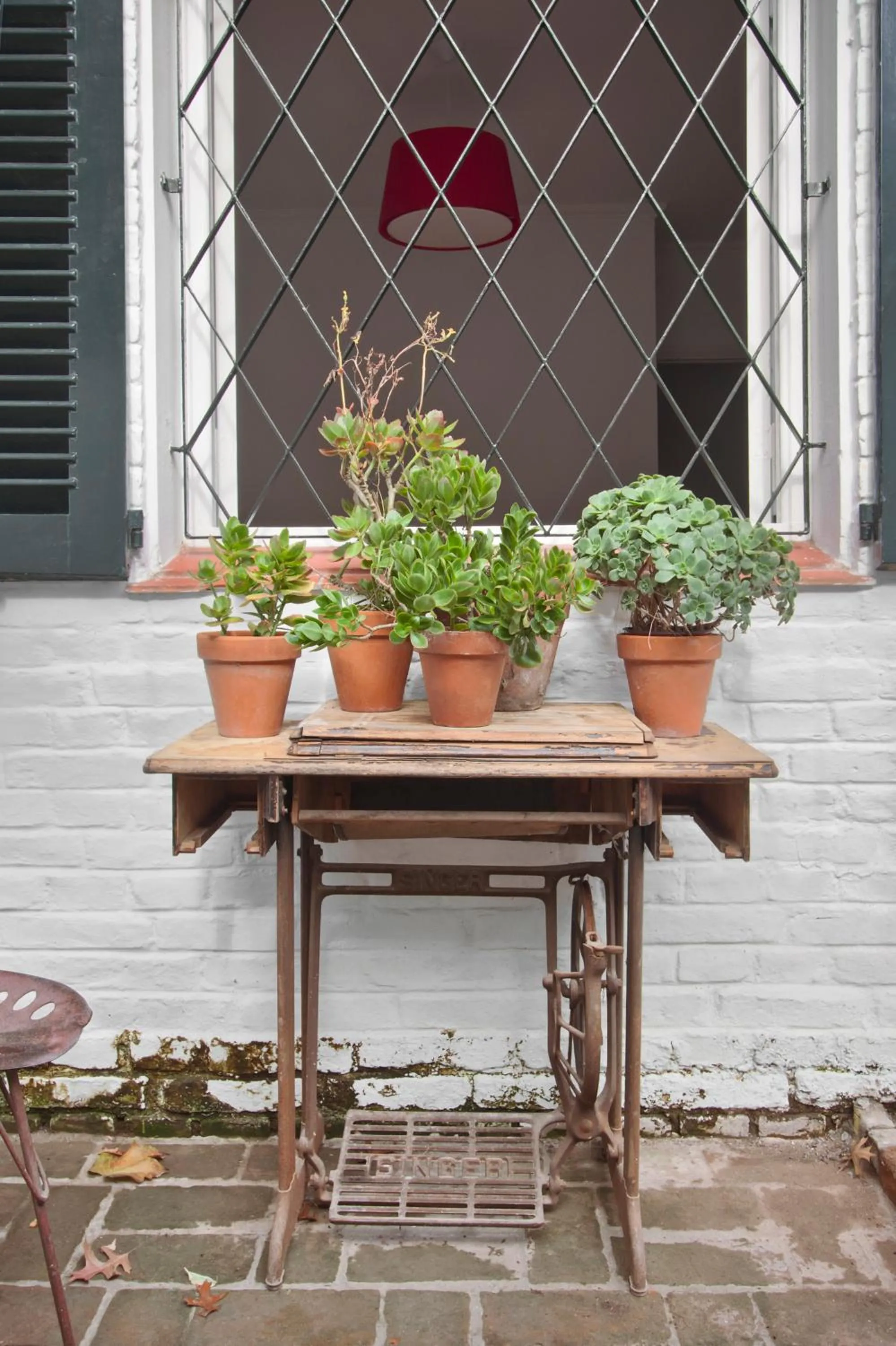 Garden in La Petite Maison San Isidro