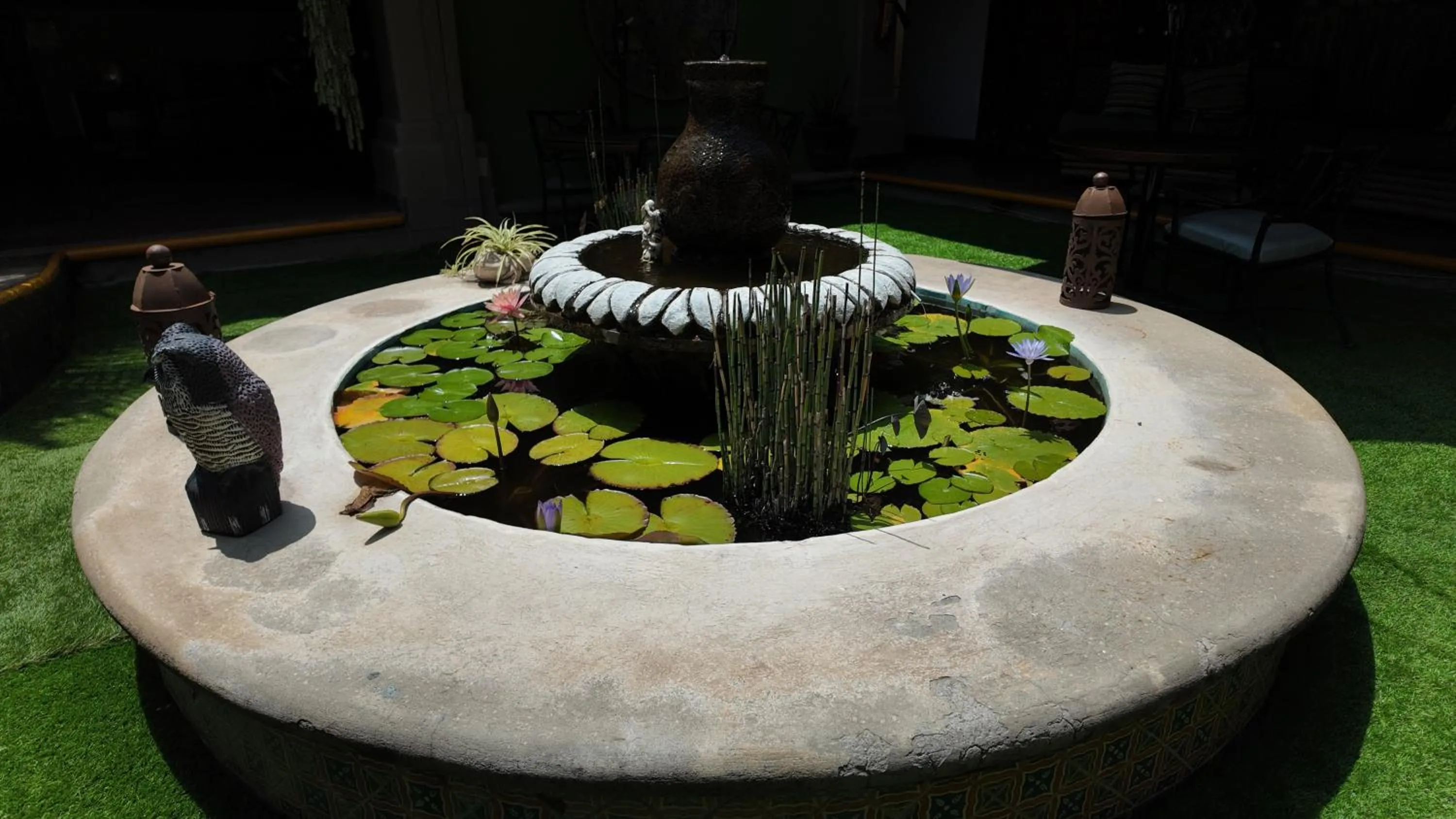 Garden in Hacienda del Lago Boutique Hotel