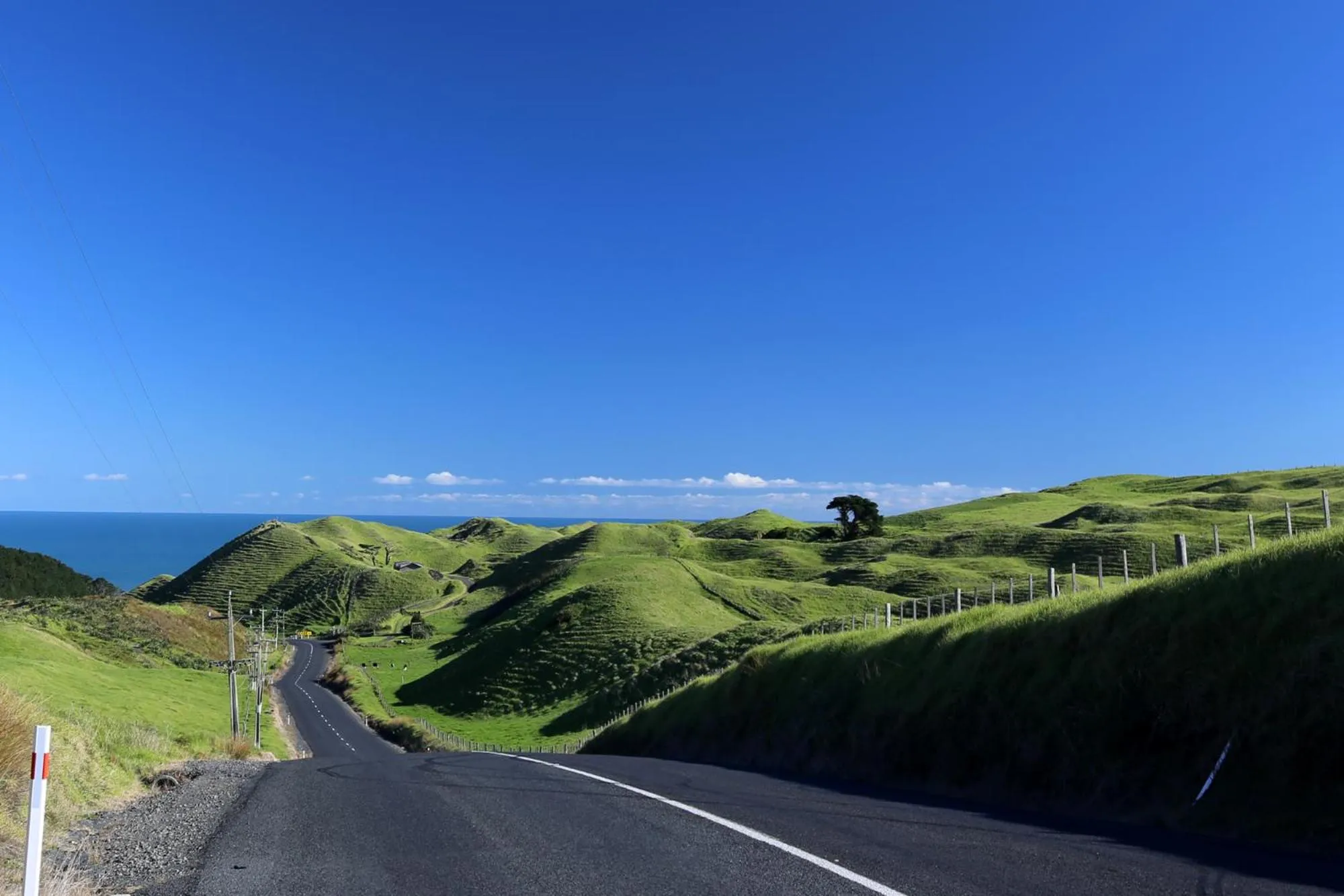 Day in Waiuku Lodge Motel
