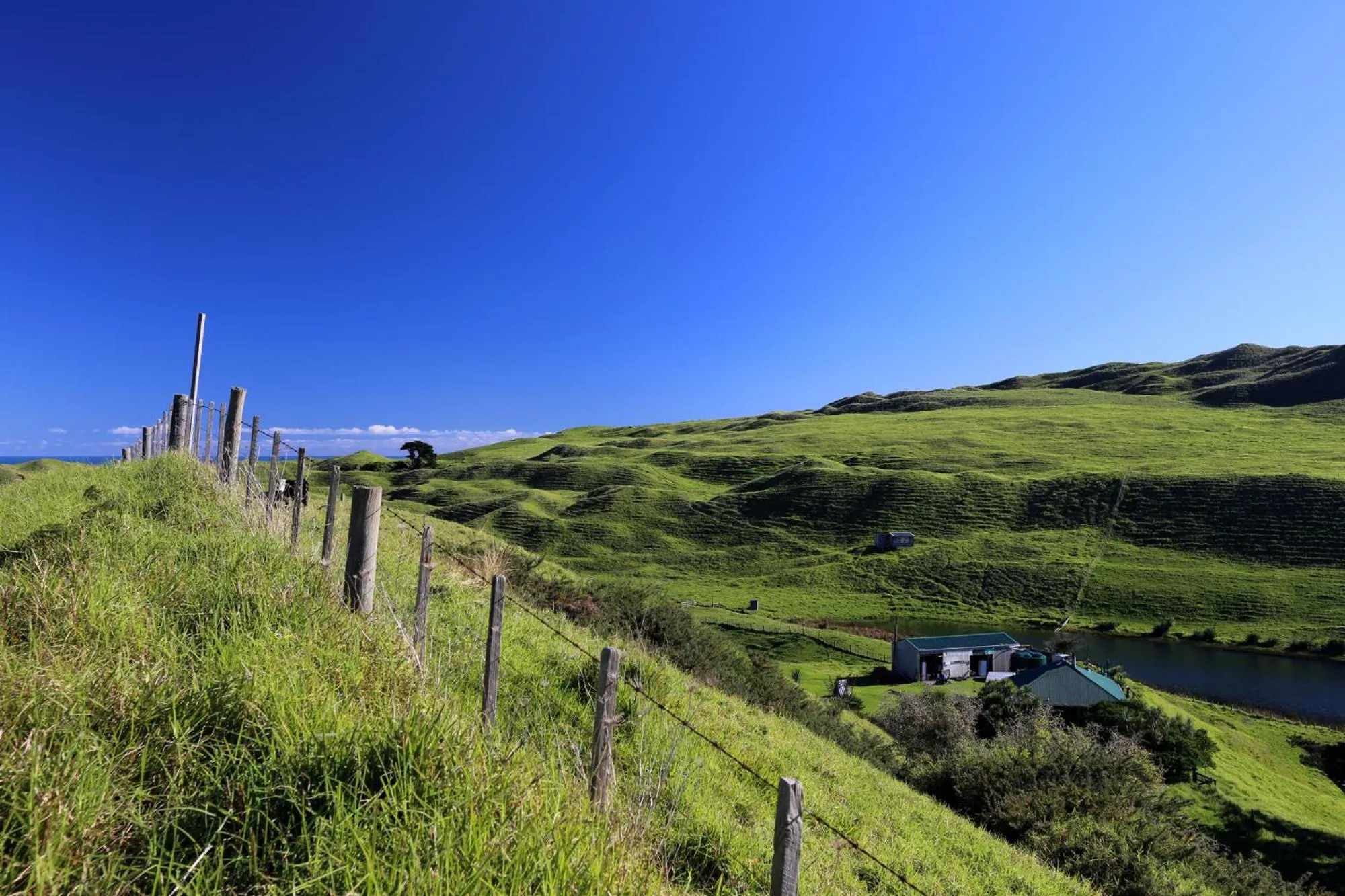 Day in Waiuku Lodge Motel