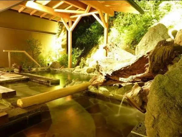 Hot Spring Bath in Kameya Ean