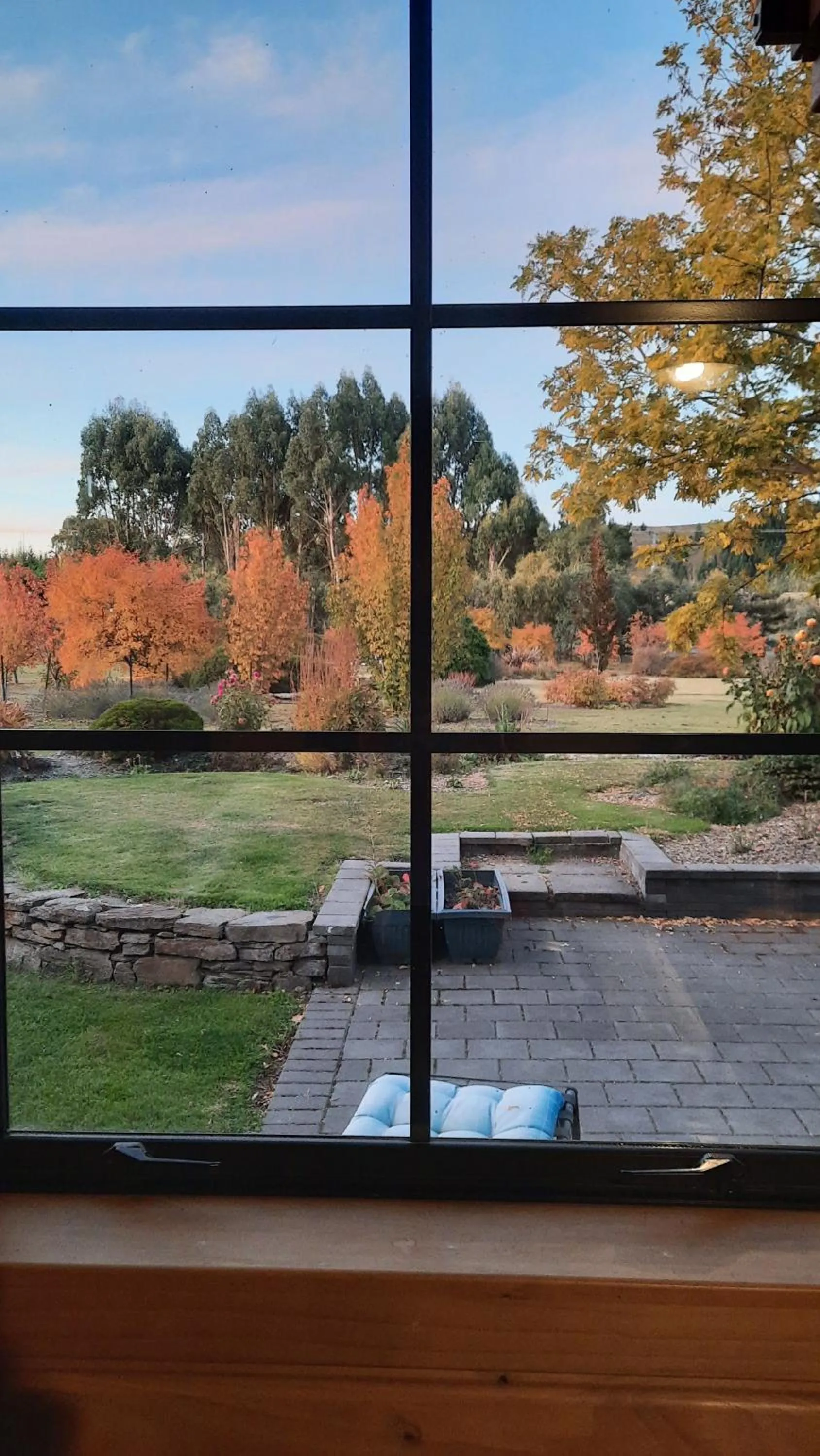 Garden in Central Chalets Ltd