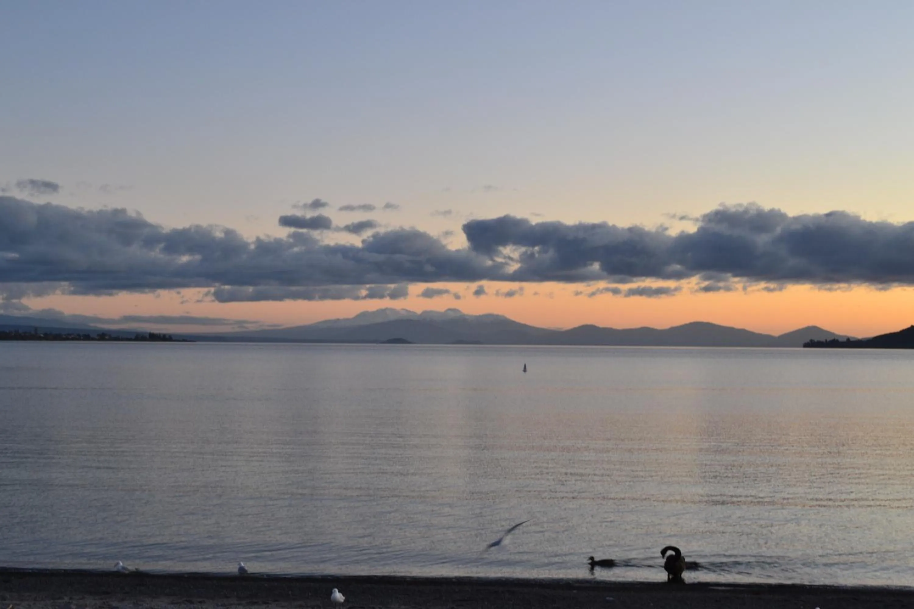 Nearby landmark in Colonial Lodge Motel