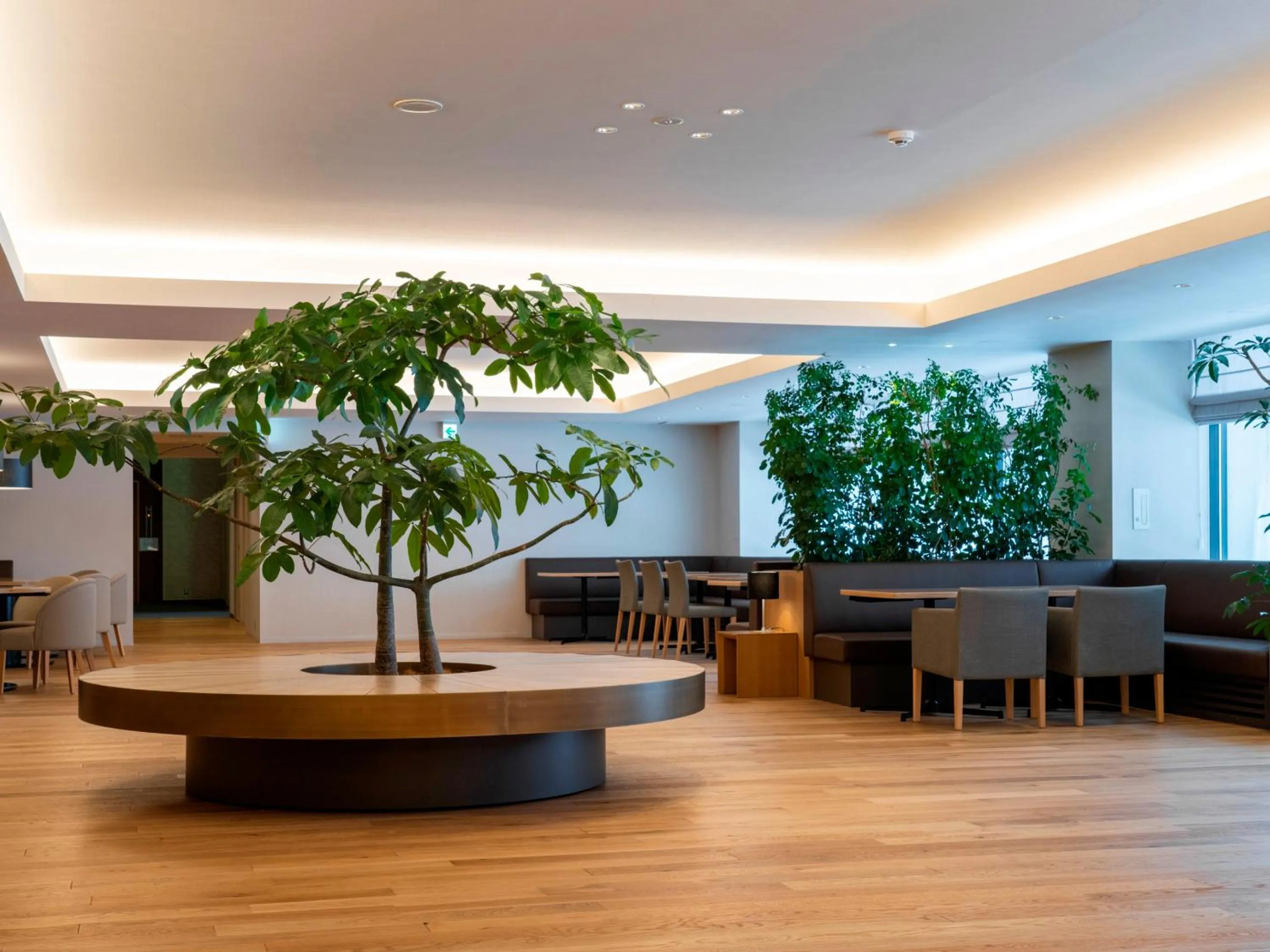 Restaurant/places to eat in Sounkaku